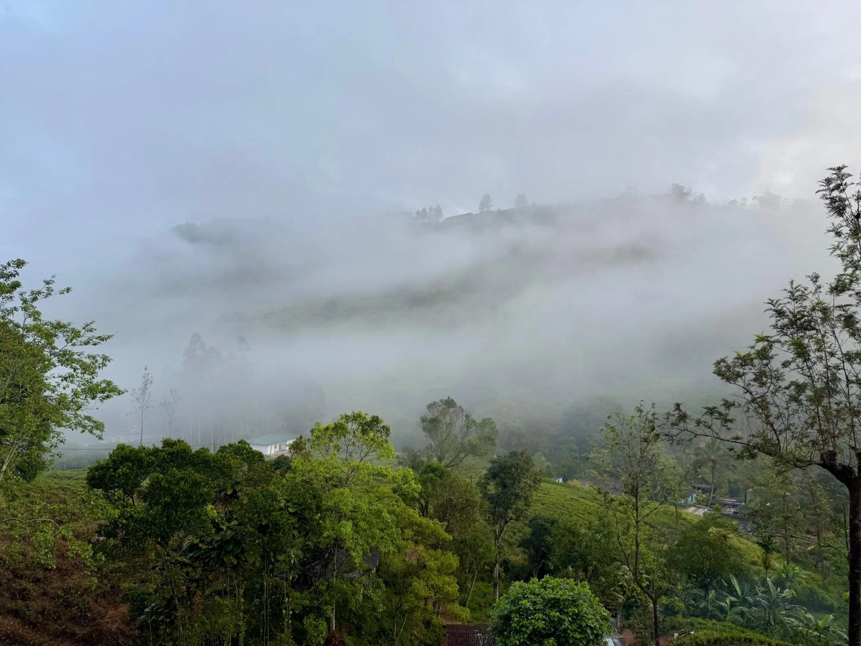 Natural landscape in Watawala Tea Plantation Bungalow