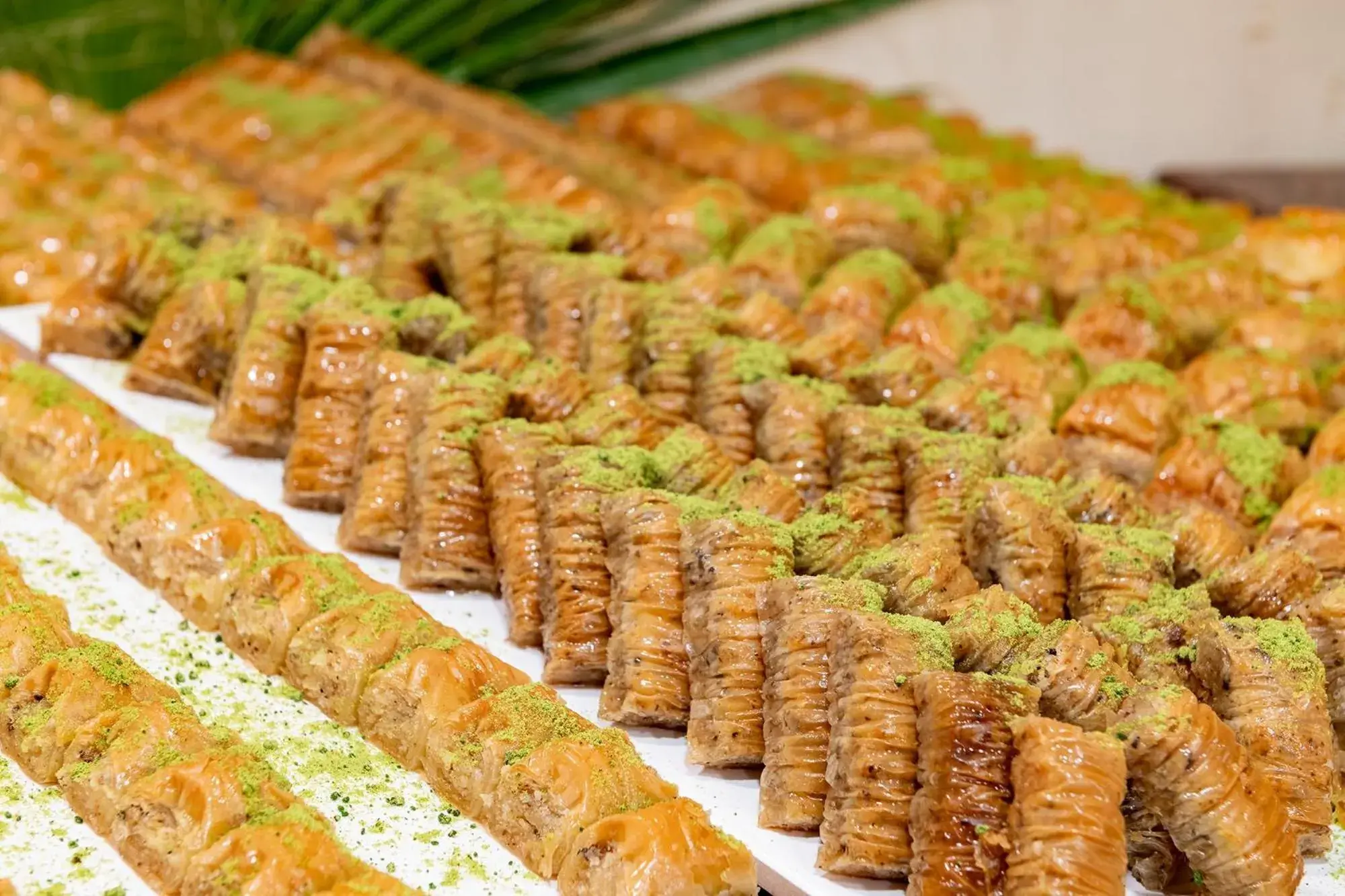 Viking Nona Beach Viking Nona Beach