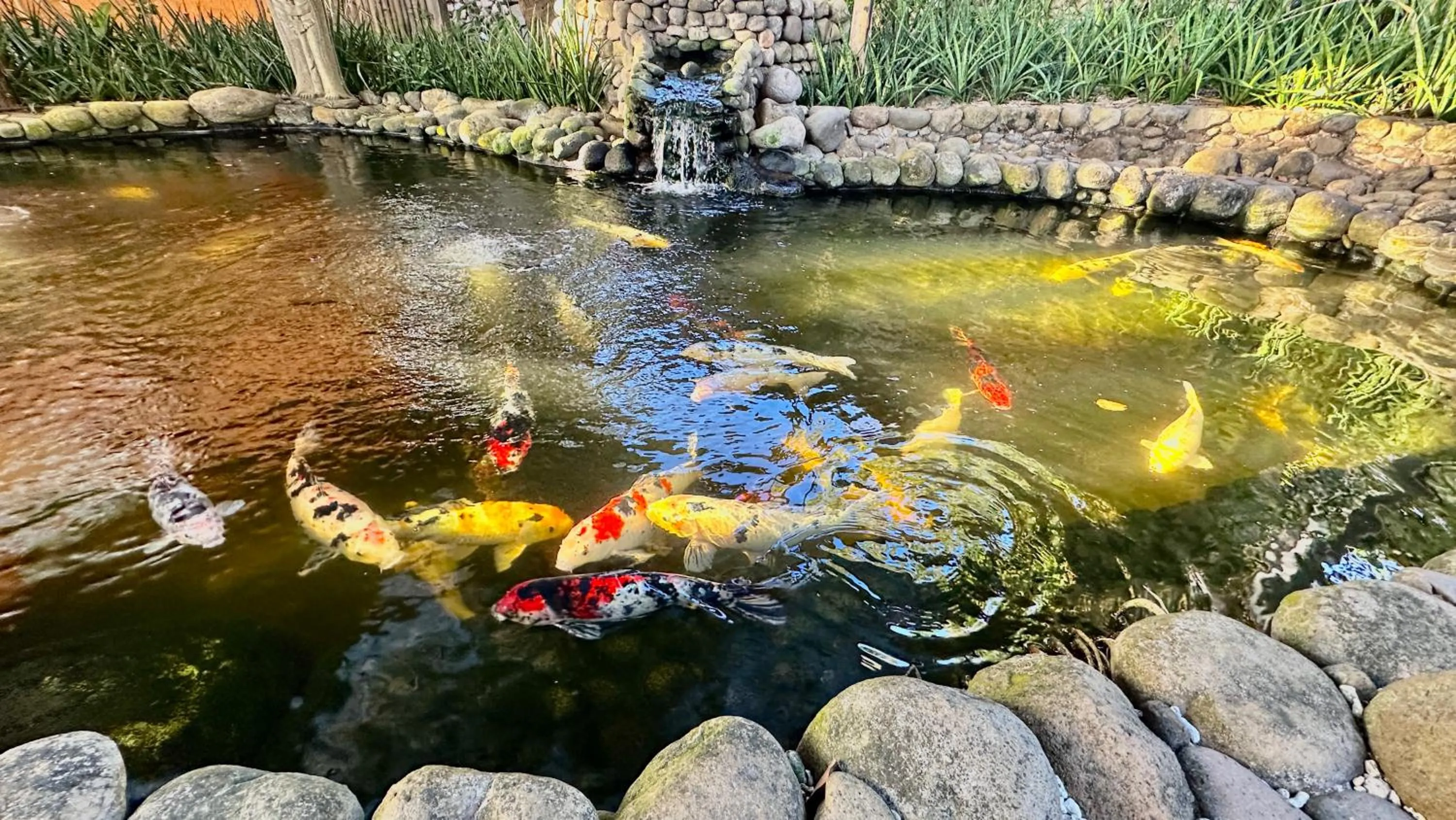 View (from property/room) in Coco Sunset Beach Resort