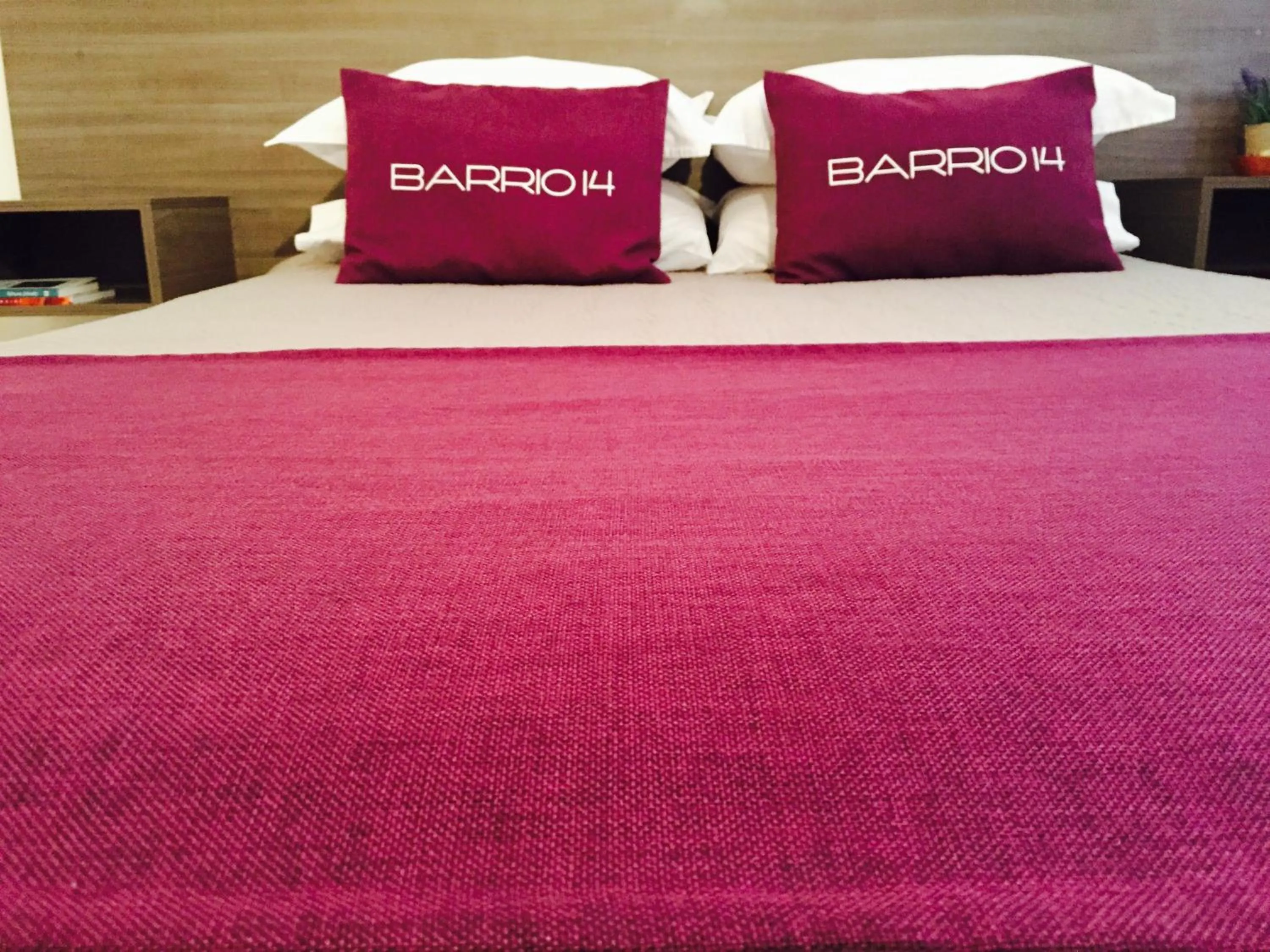 Decorative detail, Bed in Hotel Boutique Barrio 14