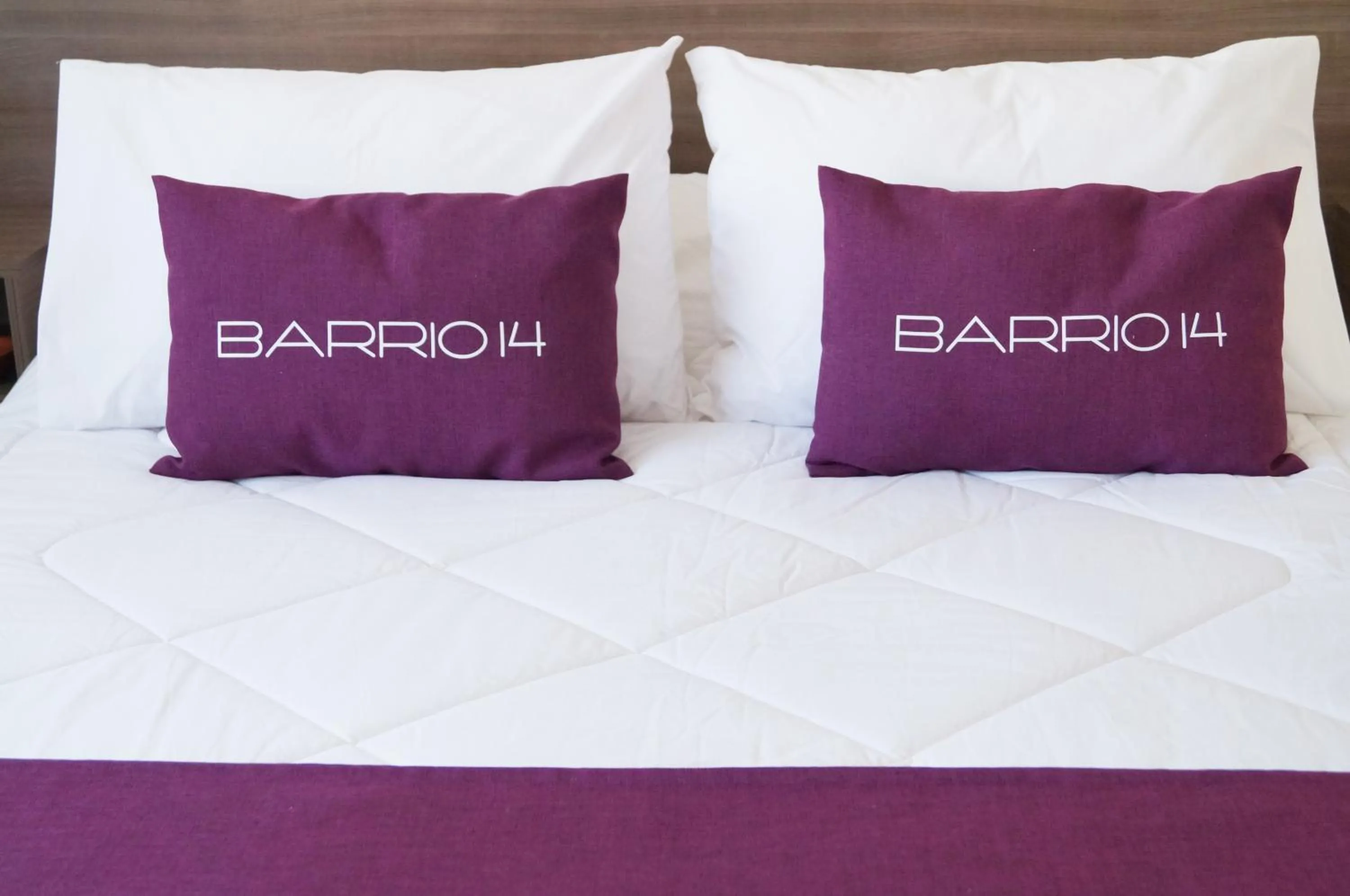 Photo of the whole room, Bed in Hotel Boutique Barrio 14