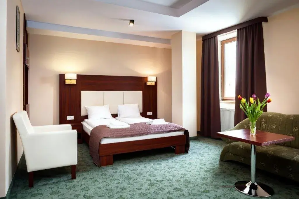 Double Room in Hotel Młyn Double Room in Hotel Młyn