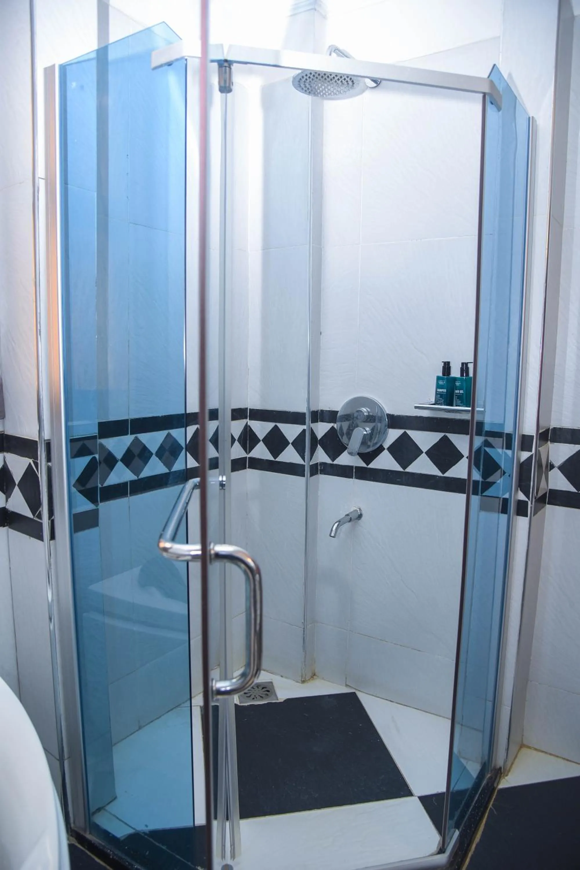 Shower in Lavington Residences By Trianum