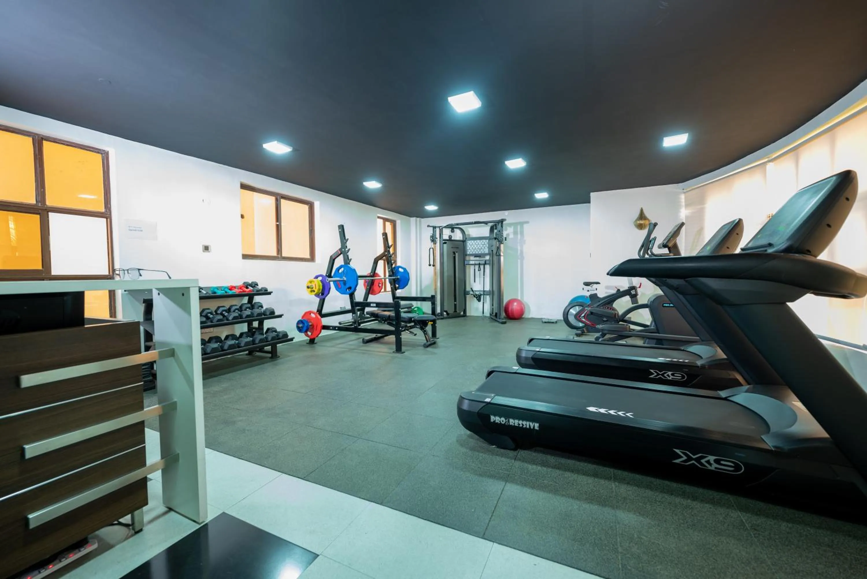 Fitness centre/facilities in Lavington Residences By Trianum