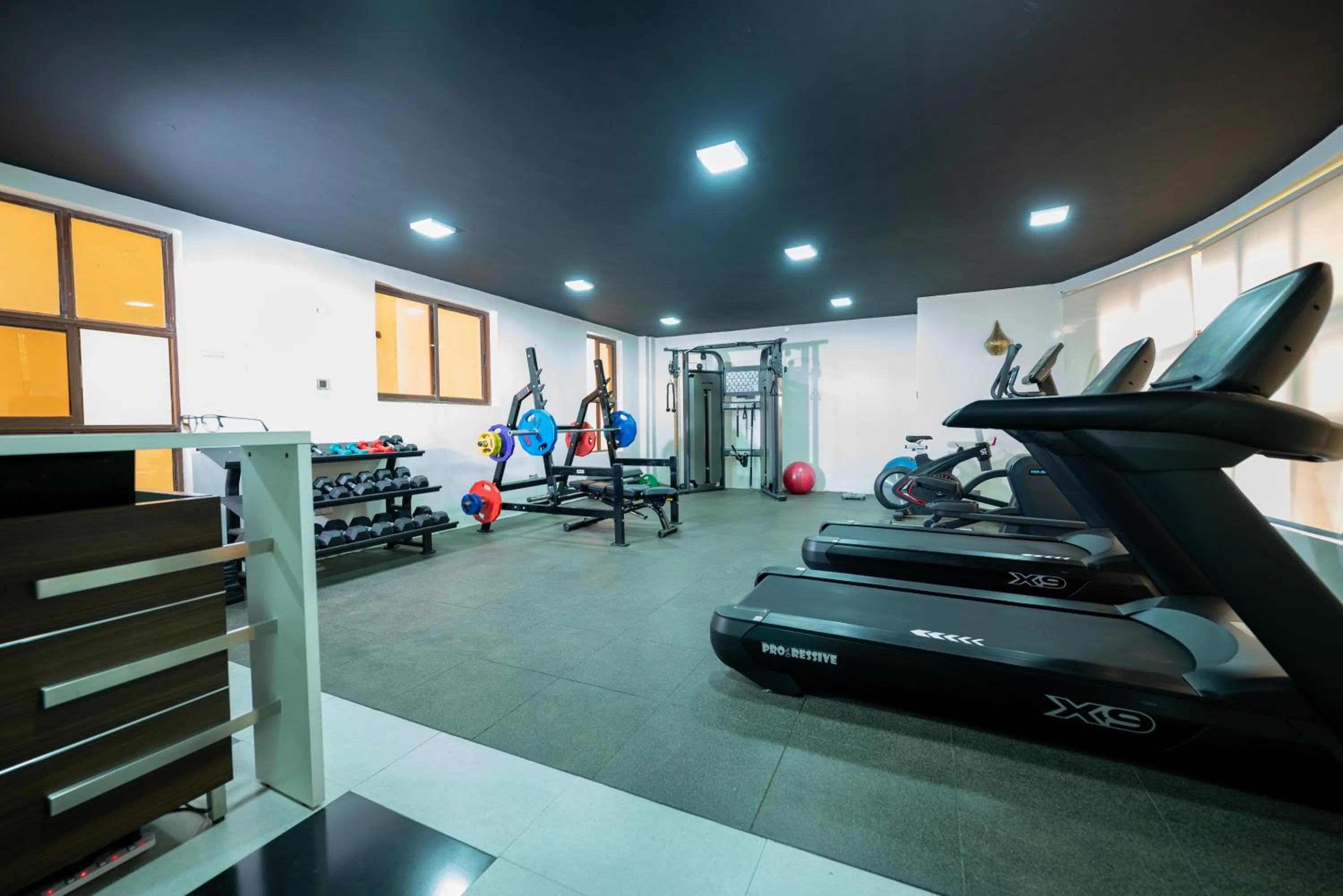 Fitness centre/facilities in Lavington Residences By Trianum