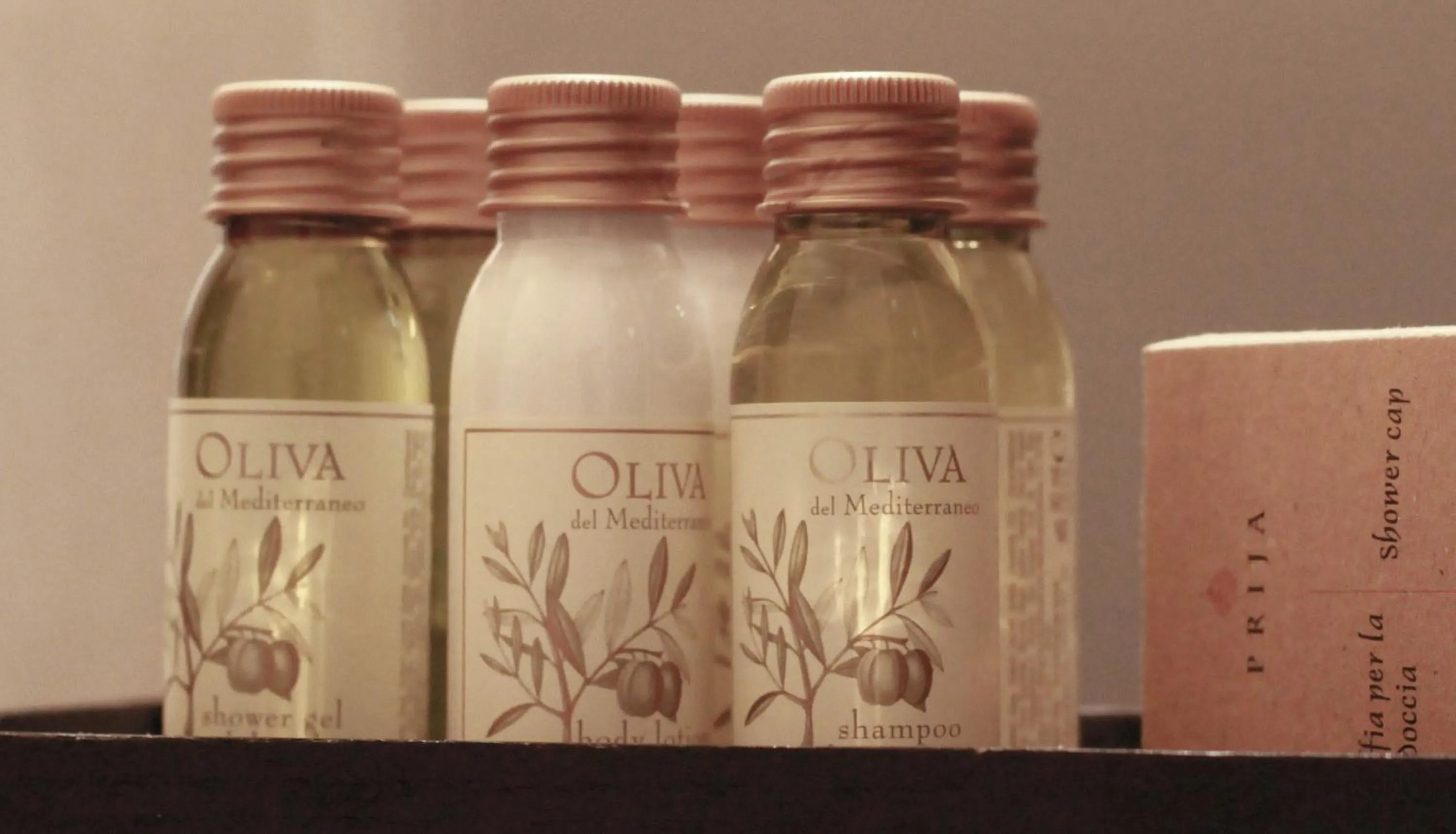 G. Hotel Des Alpes (Classic since 1912)