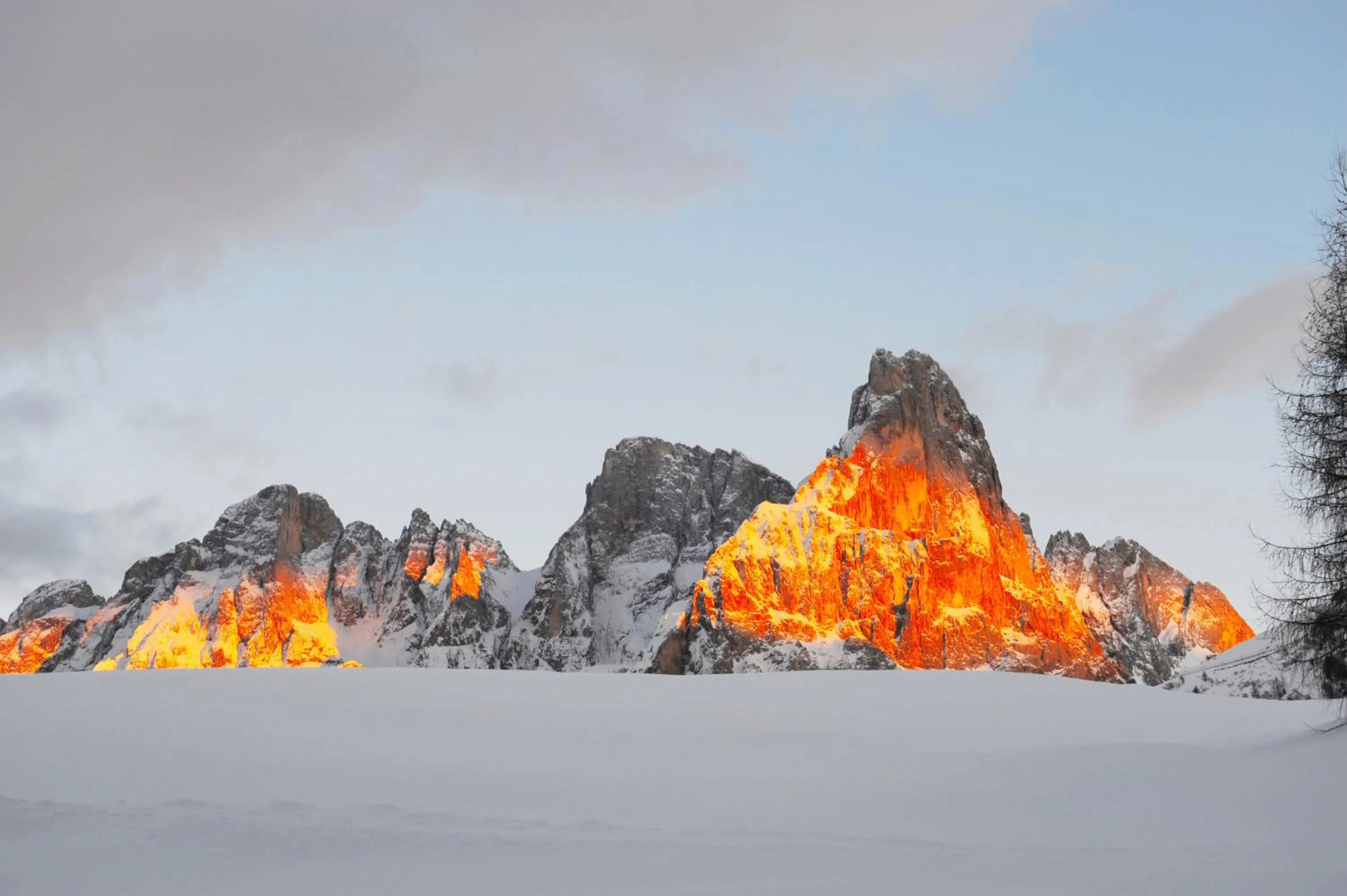 Area and facilities in G. Hotel Des Alpes (Classic since 1912)
