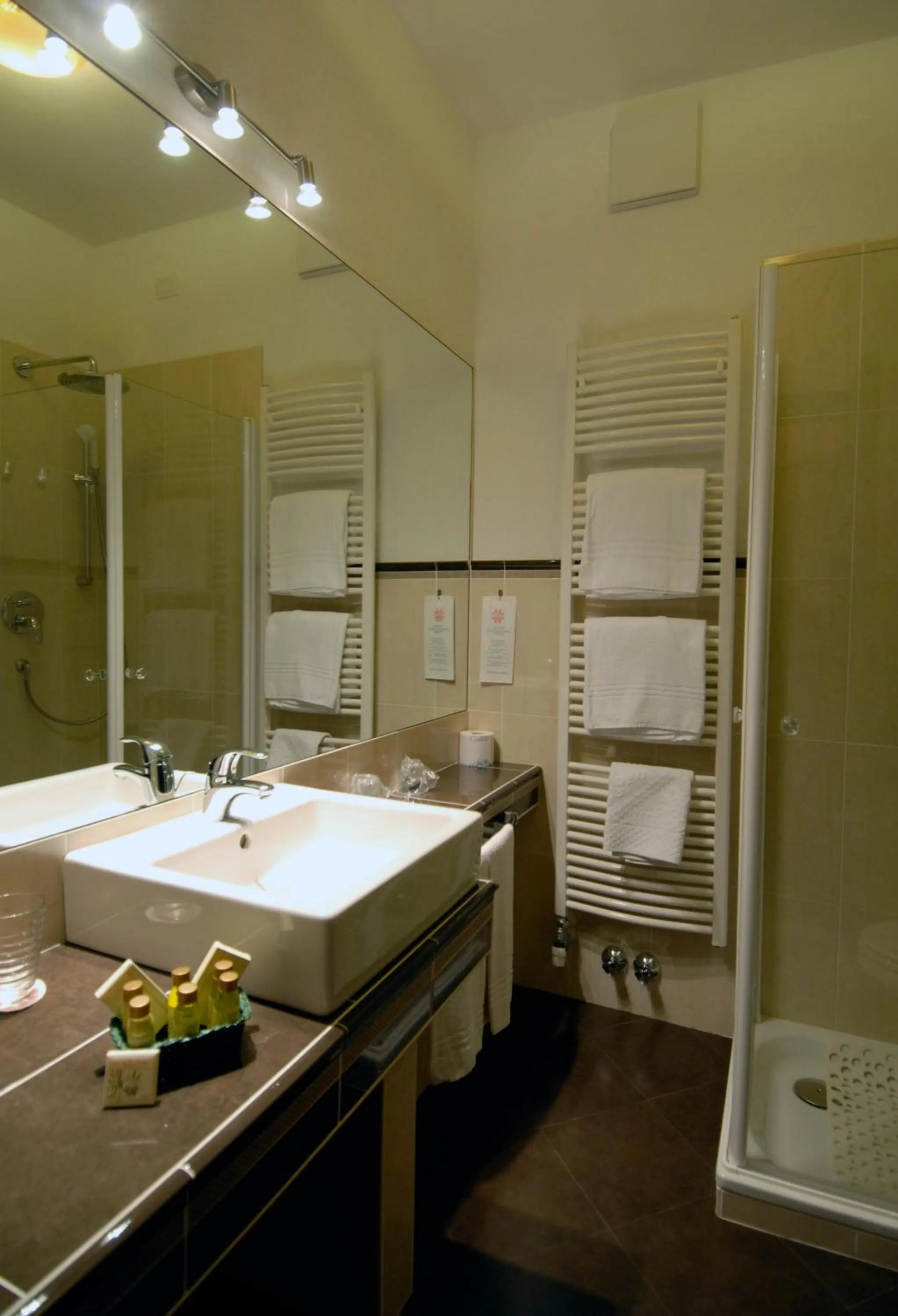 Bathroom in G. Hotel Des Alpes (Classic since 1912)