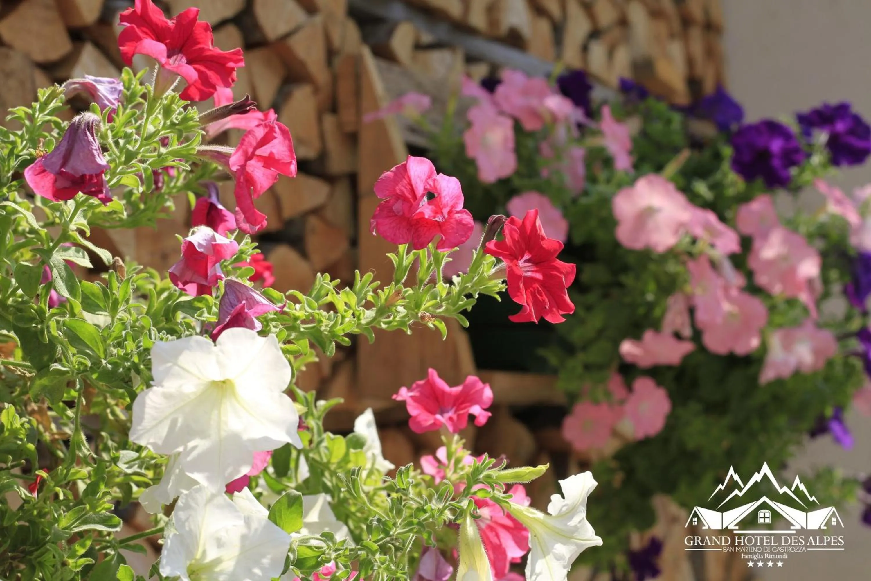Natural landscape in G. Hotel Des Alpes (Classic since 1912)