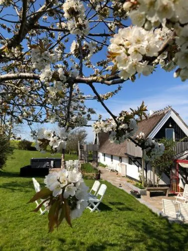Garden in Sydkustens at Pillehill