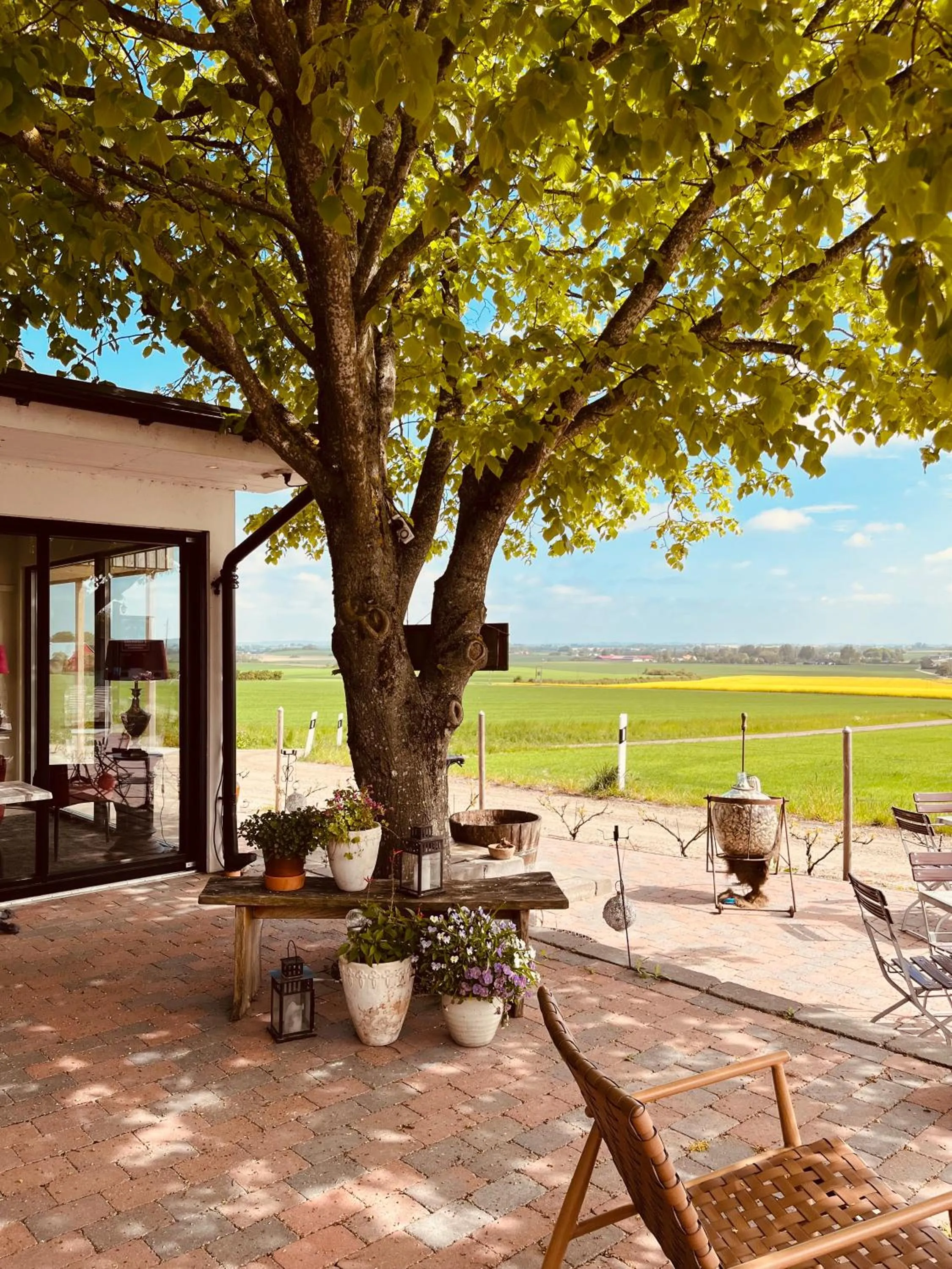 Restaurant/places to eat in Sydkustens at Pillehill