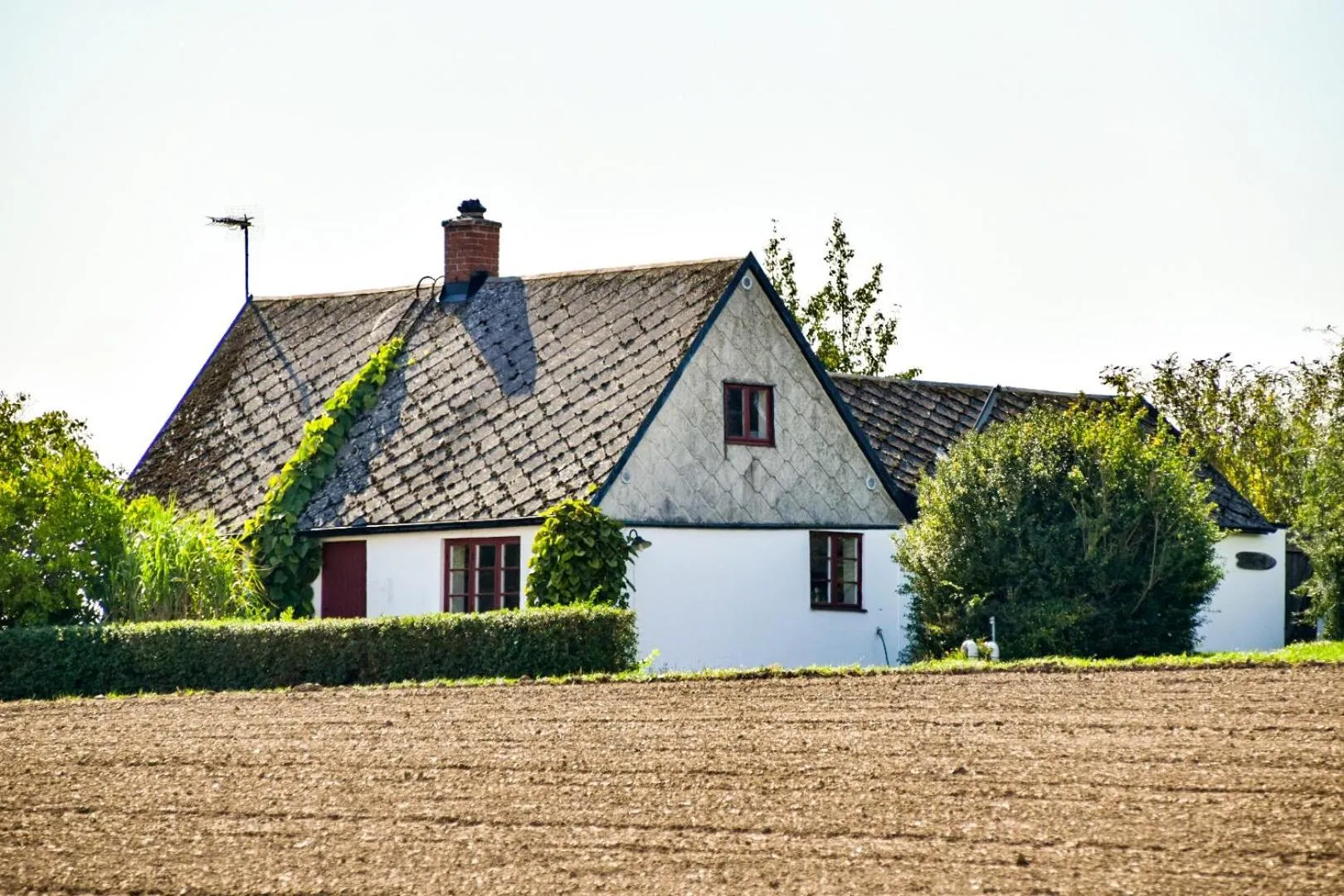 Garden in Sydkustens at Pillehill