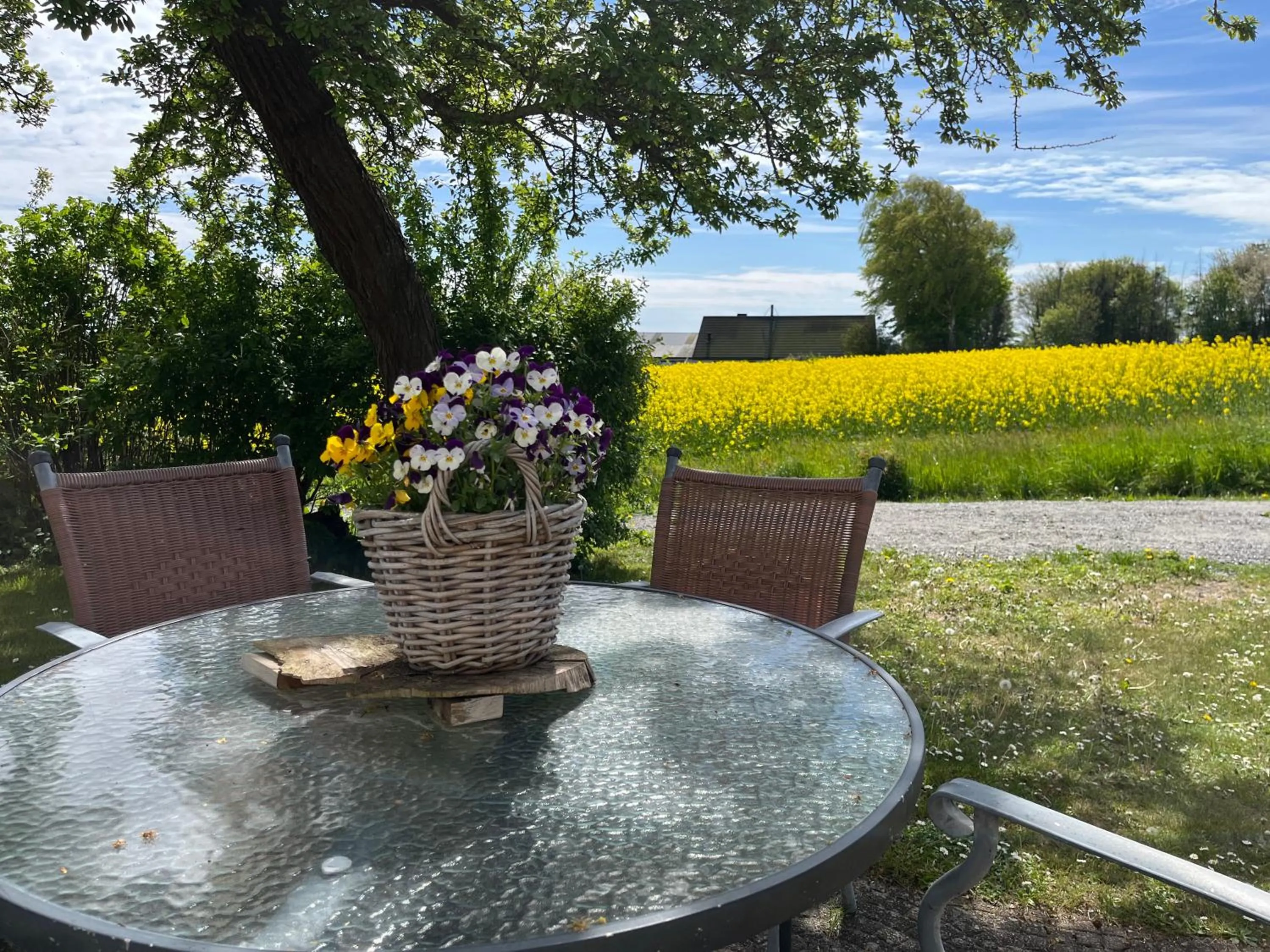 Sydkustens at Pillehill