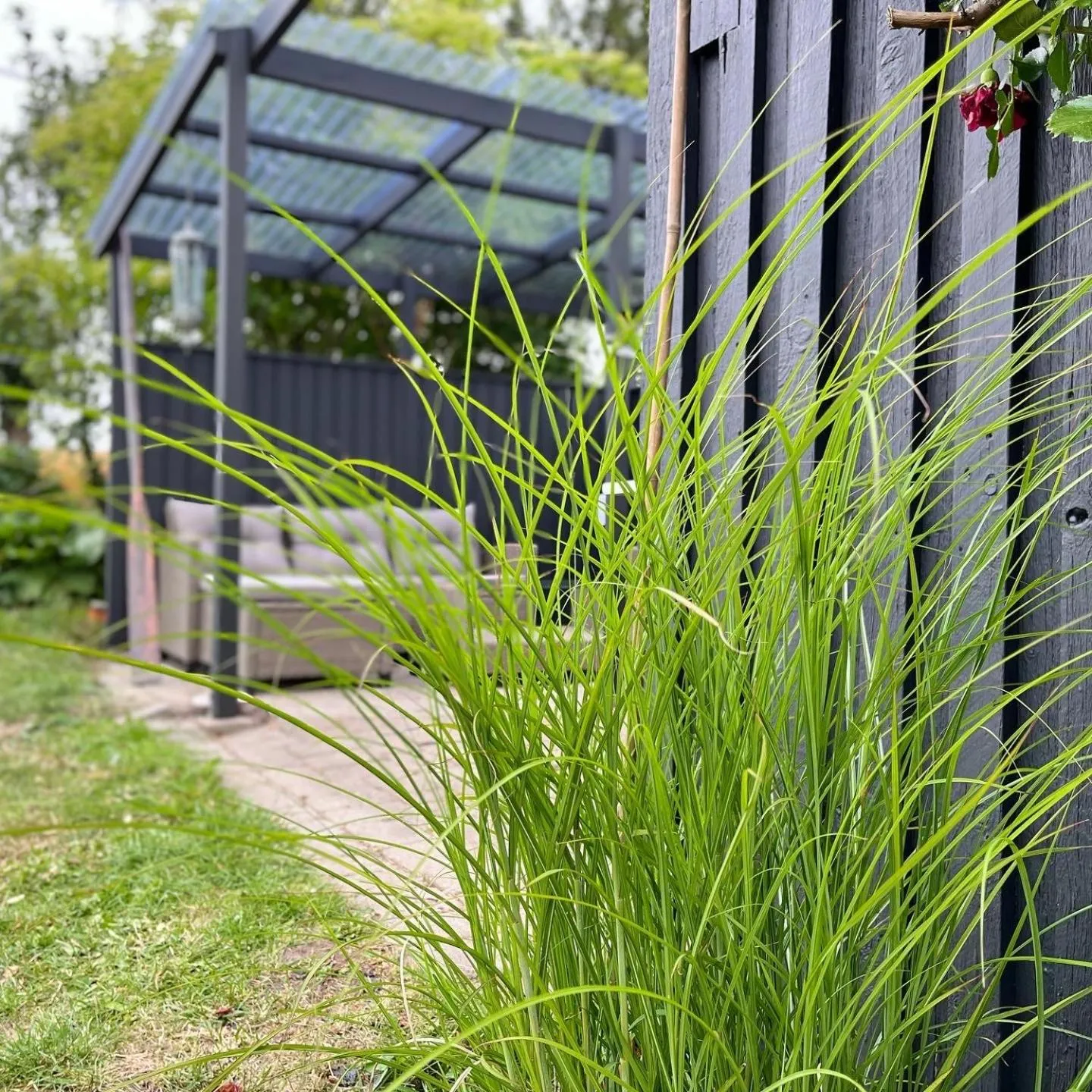 Day in Sydkustens at Pillehill