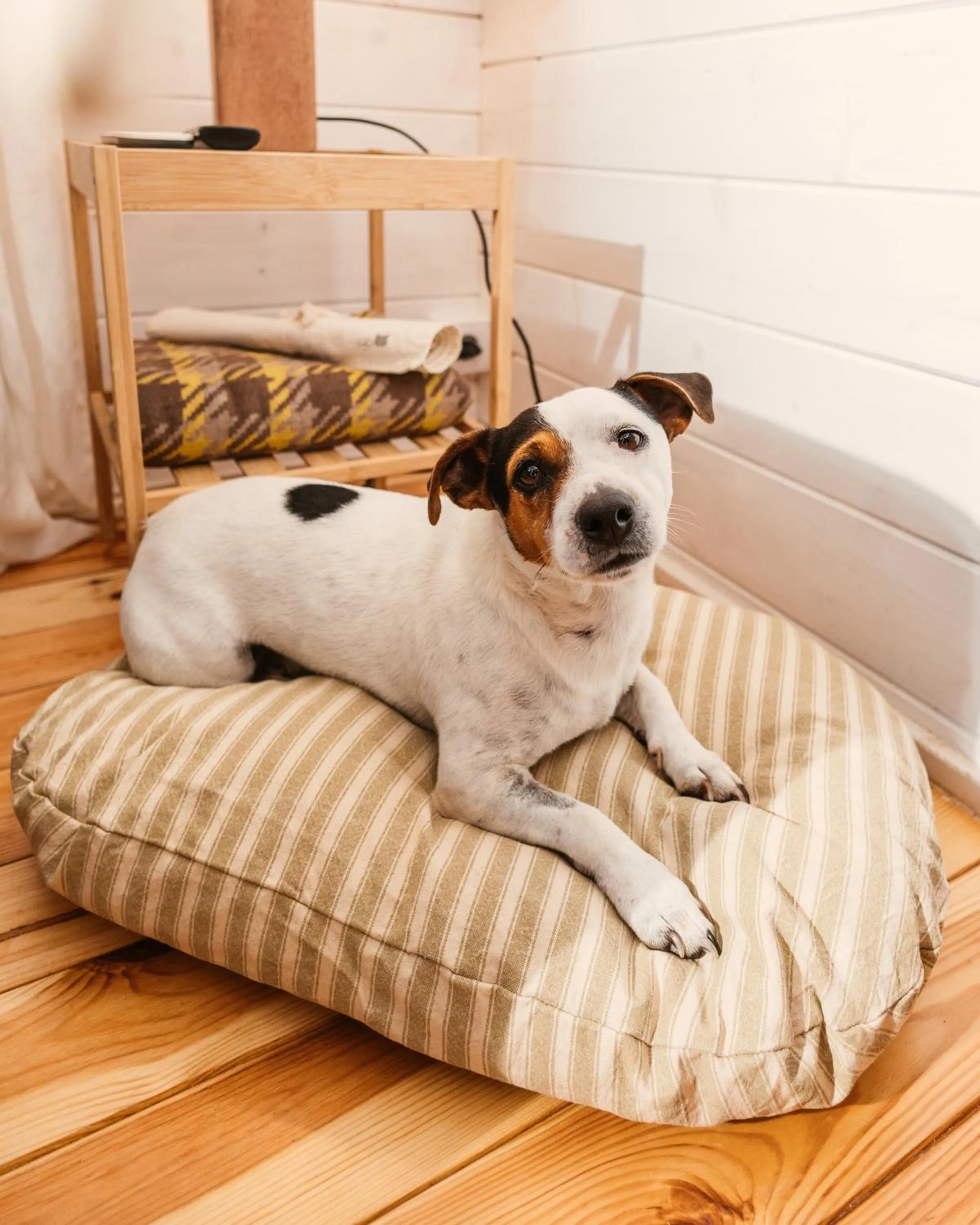 Decorative detail in Cerquido by NHôme