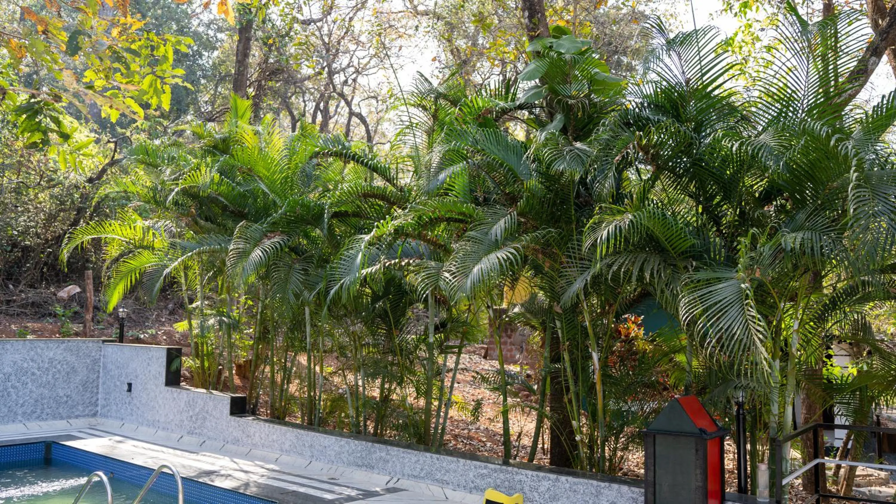 Pool view in The Inaka Goa