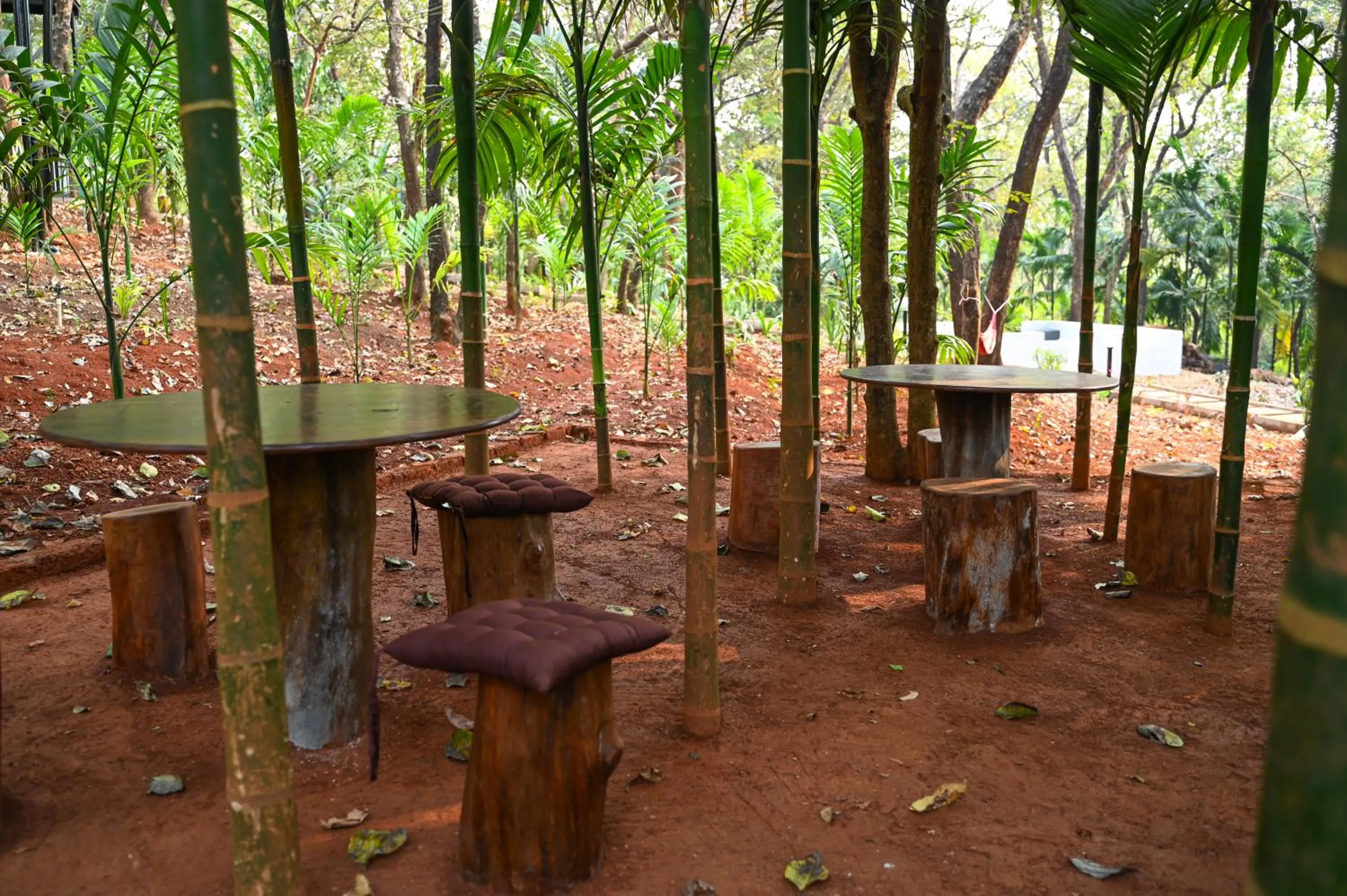 Natural landscape in The Inaka Goa