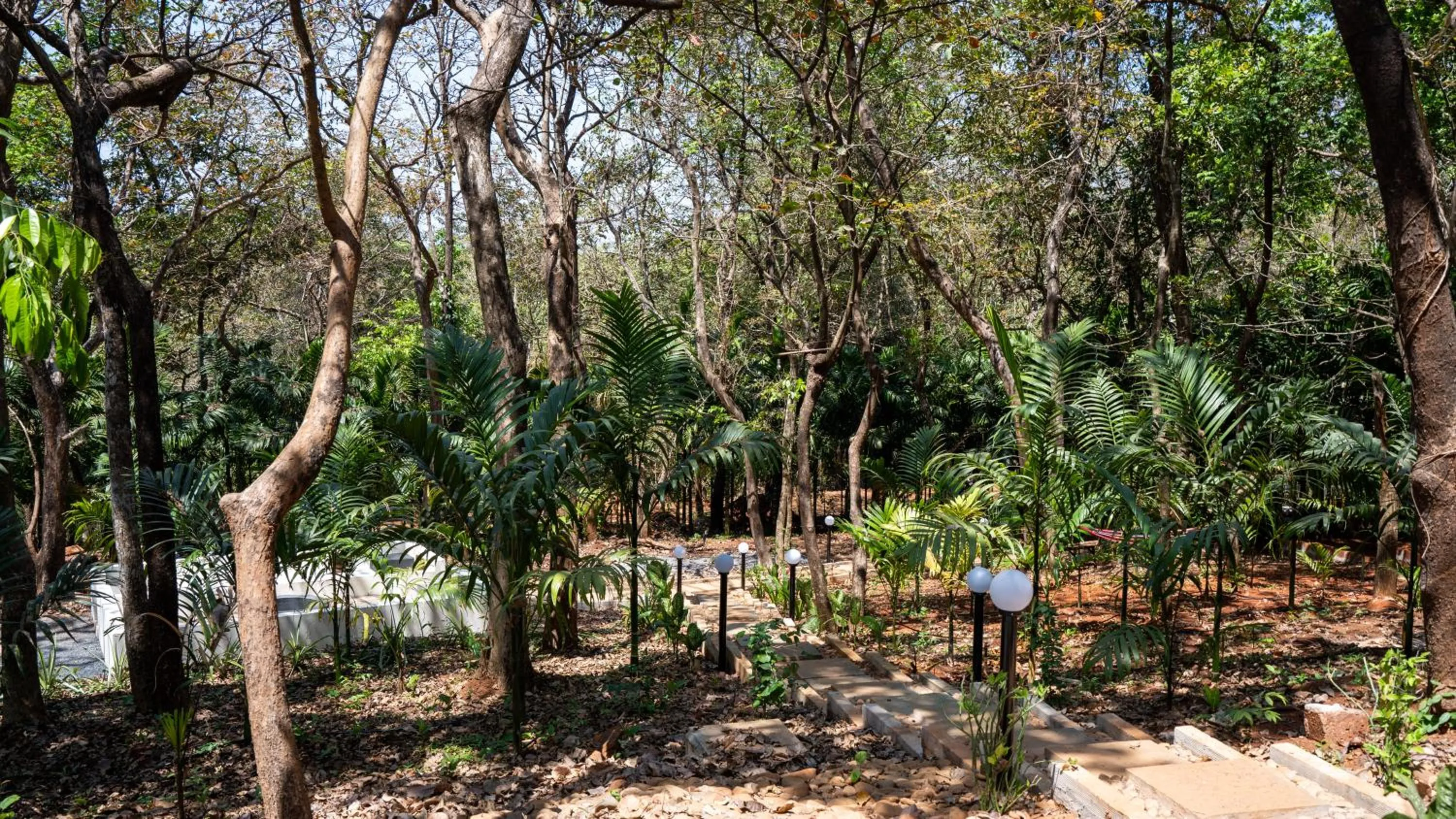 View (from property/room) in The Inaka Goa