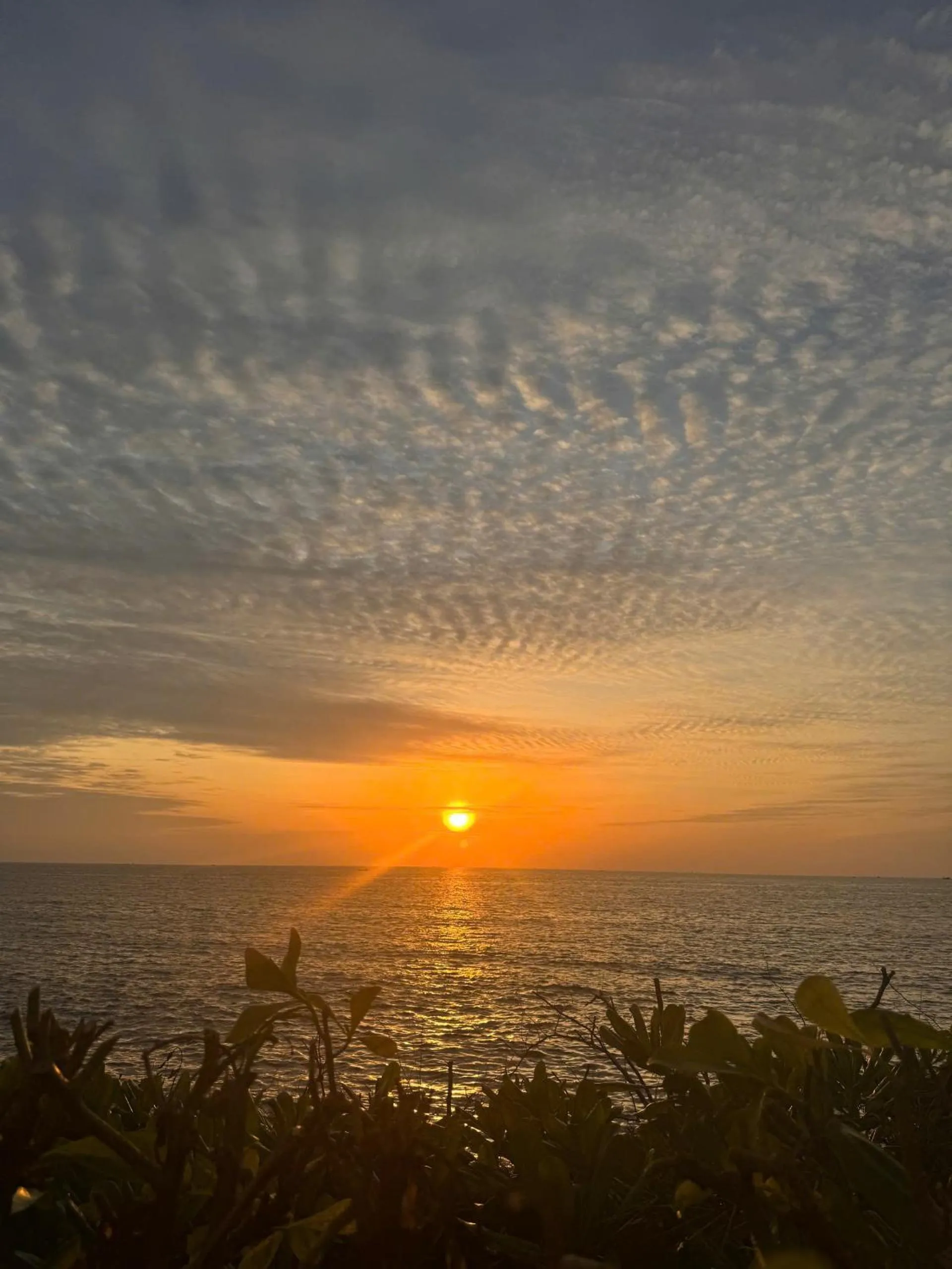 View (from property/room) in The Room Hotel - Starbucks