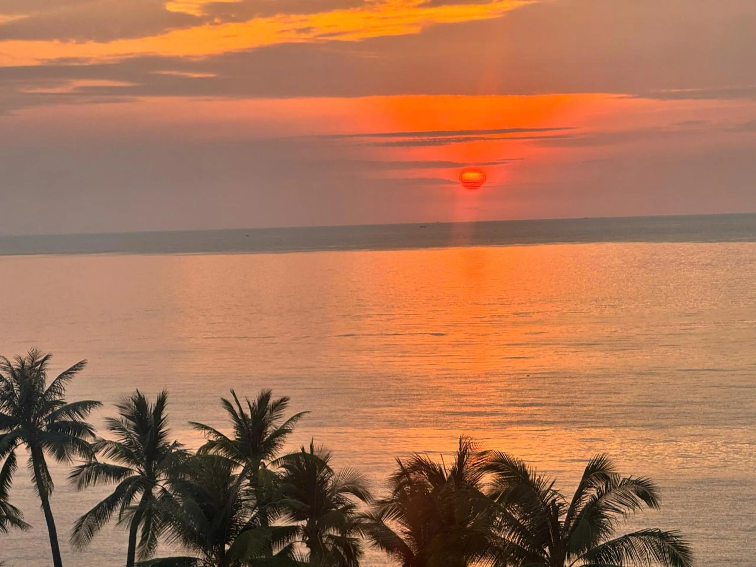 View (from property/room) in The Room Hotel - Starbucks