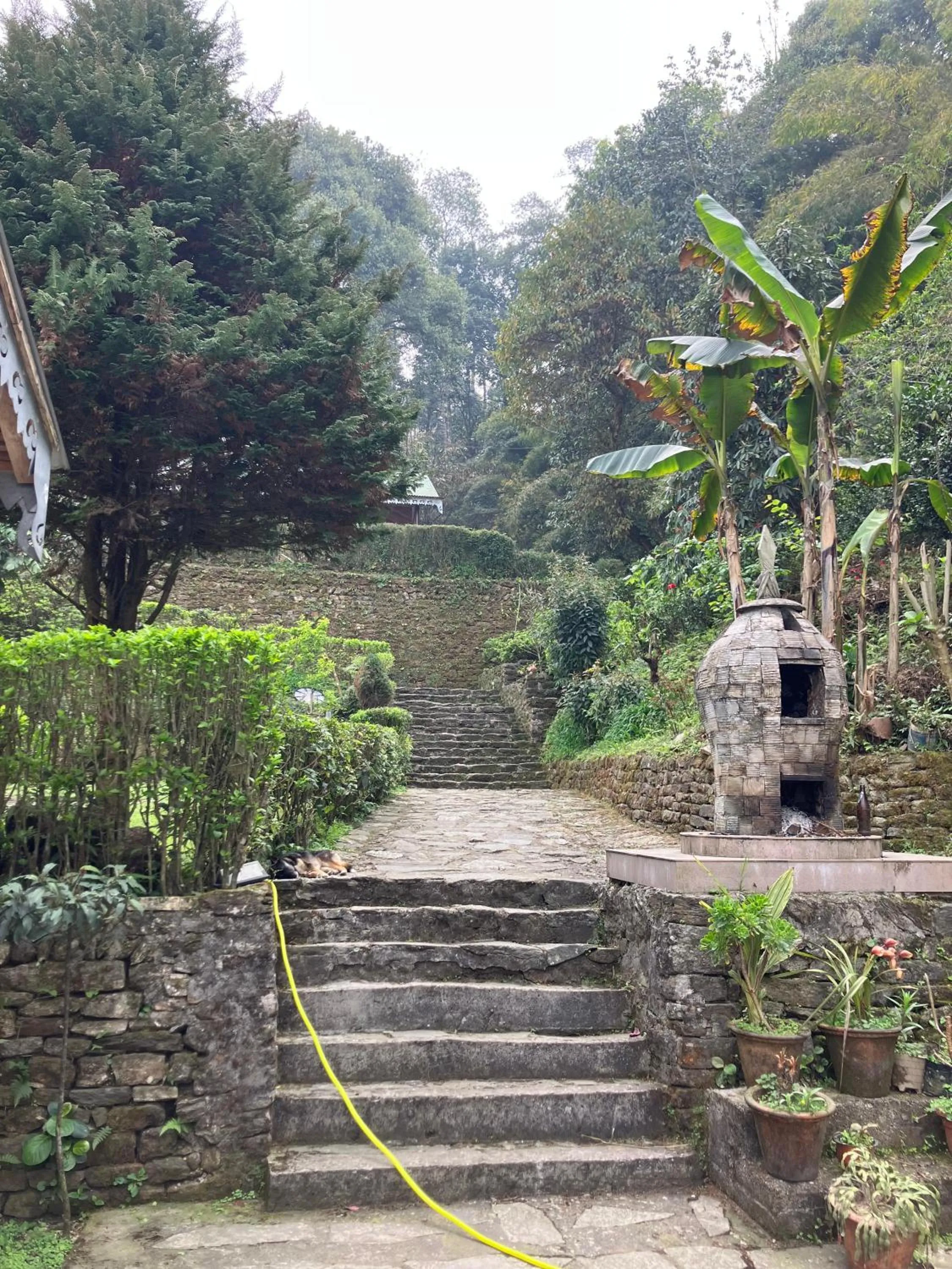 Property building in MayaTels - Maya Eco Huts, Pelling