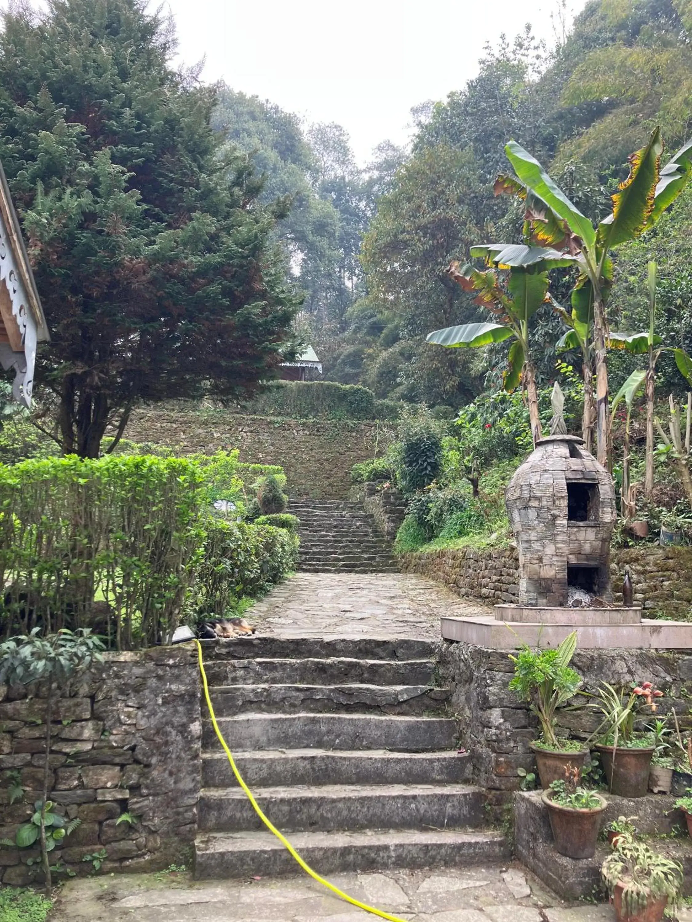 Property building in MayaTels - Maya Eco Huts, Pelling Property building in MayaTels - Maya Eco Huts, Pelling