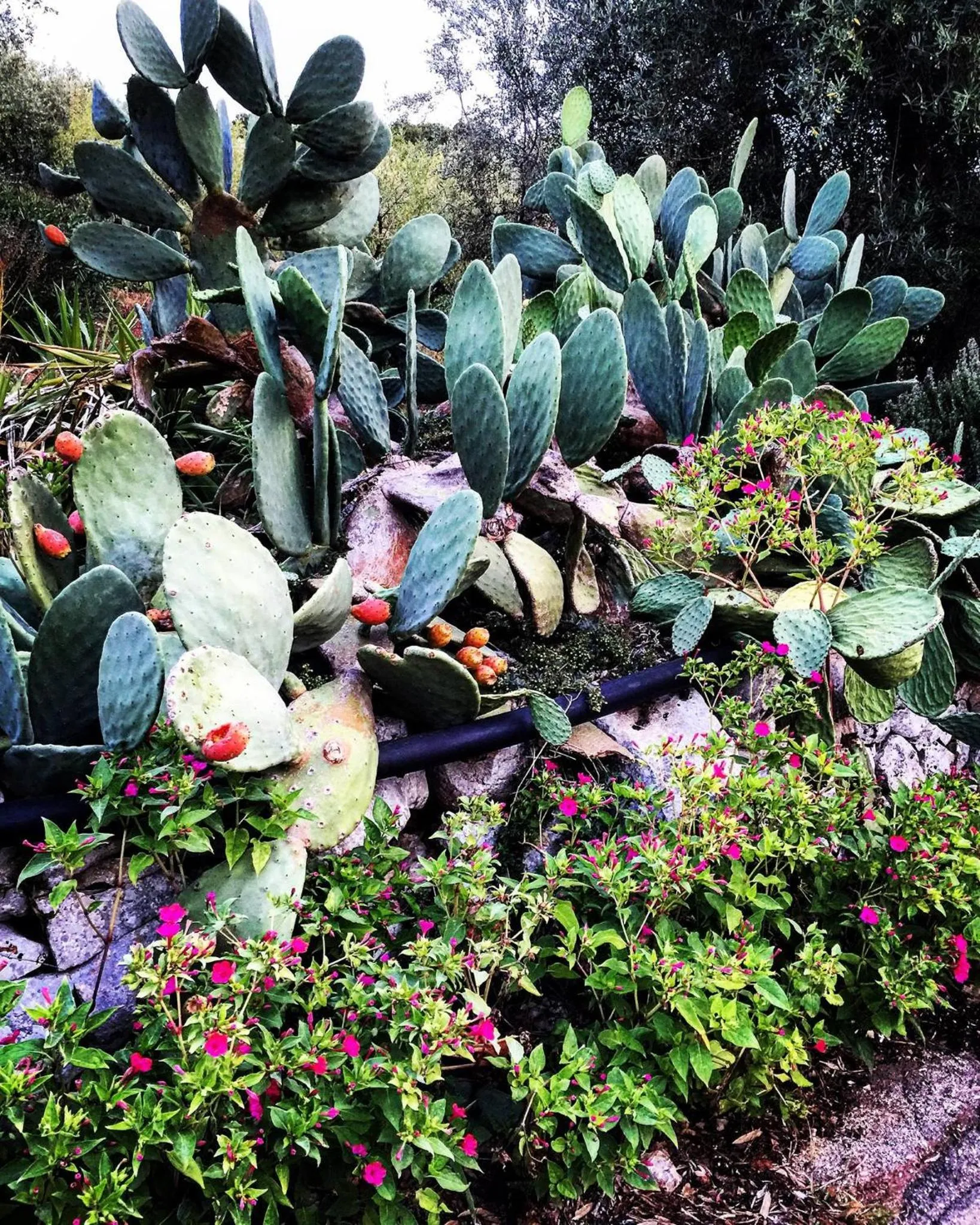 Natural landscape in Villa Giulia B&B