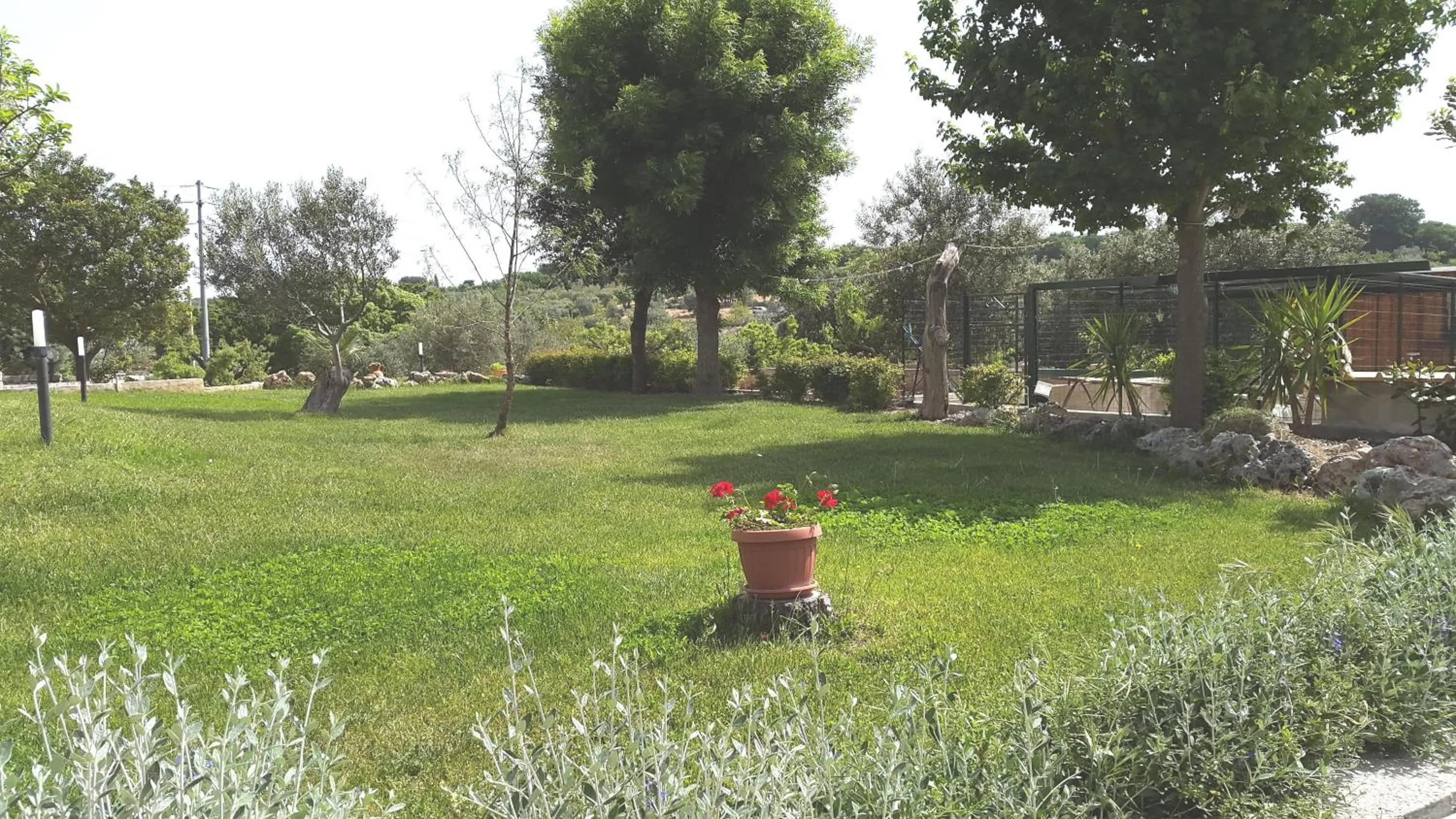 Garden in Villa Giulia B&B