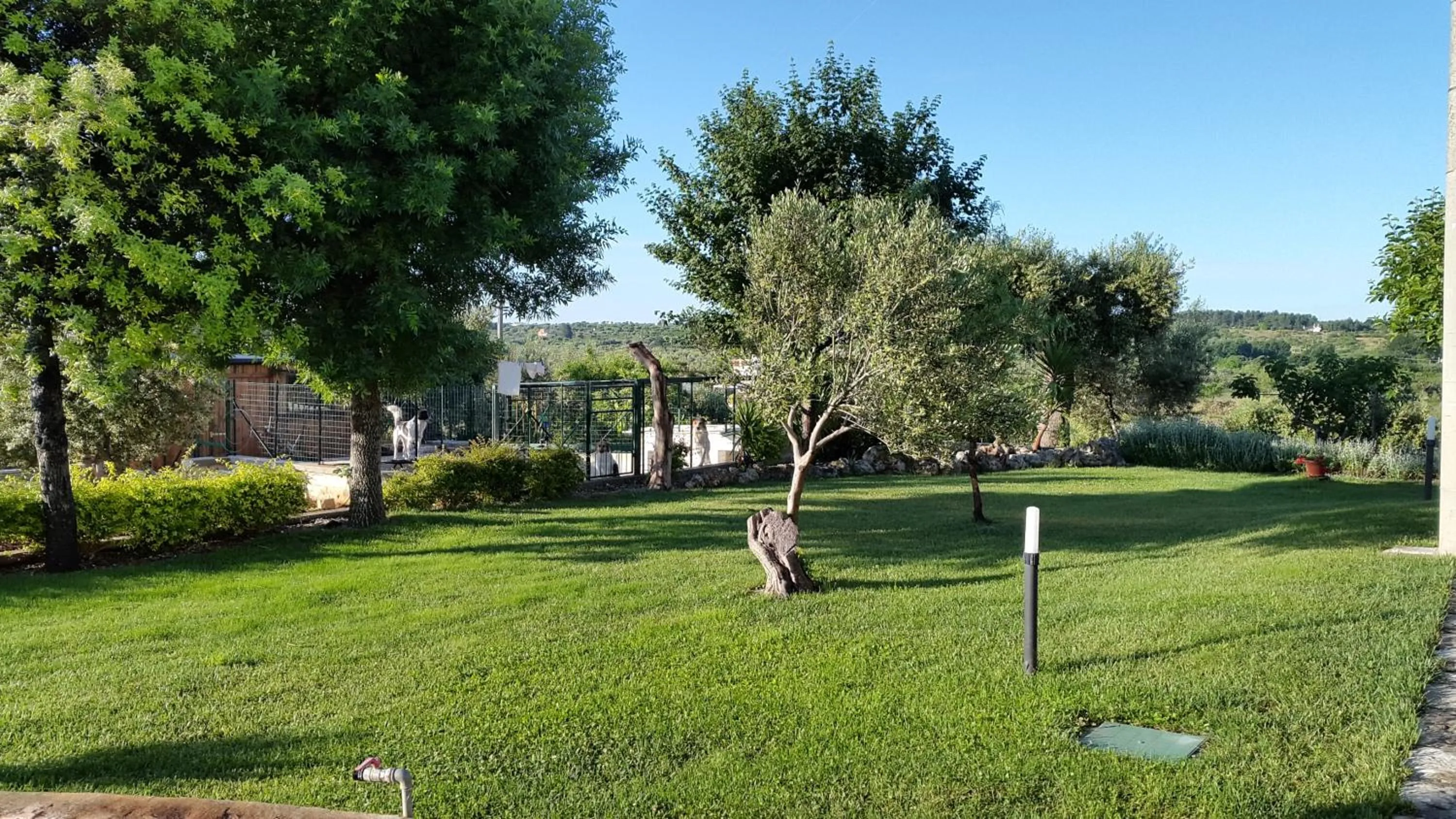 Garden in Villa Giulia B&B