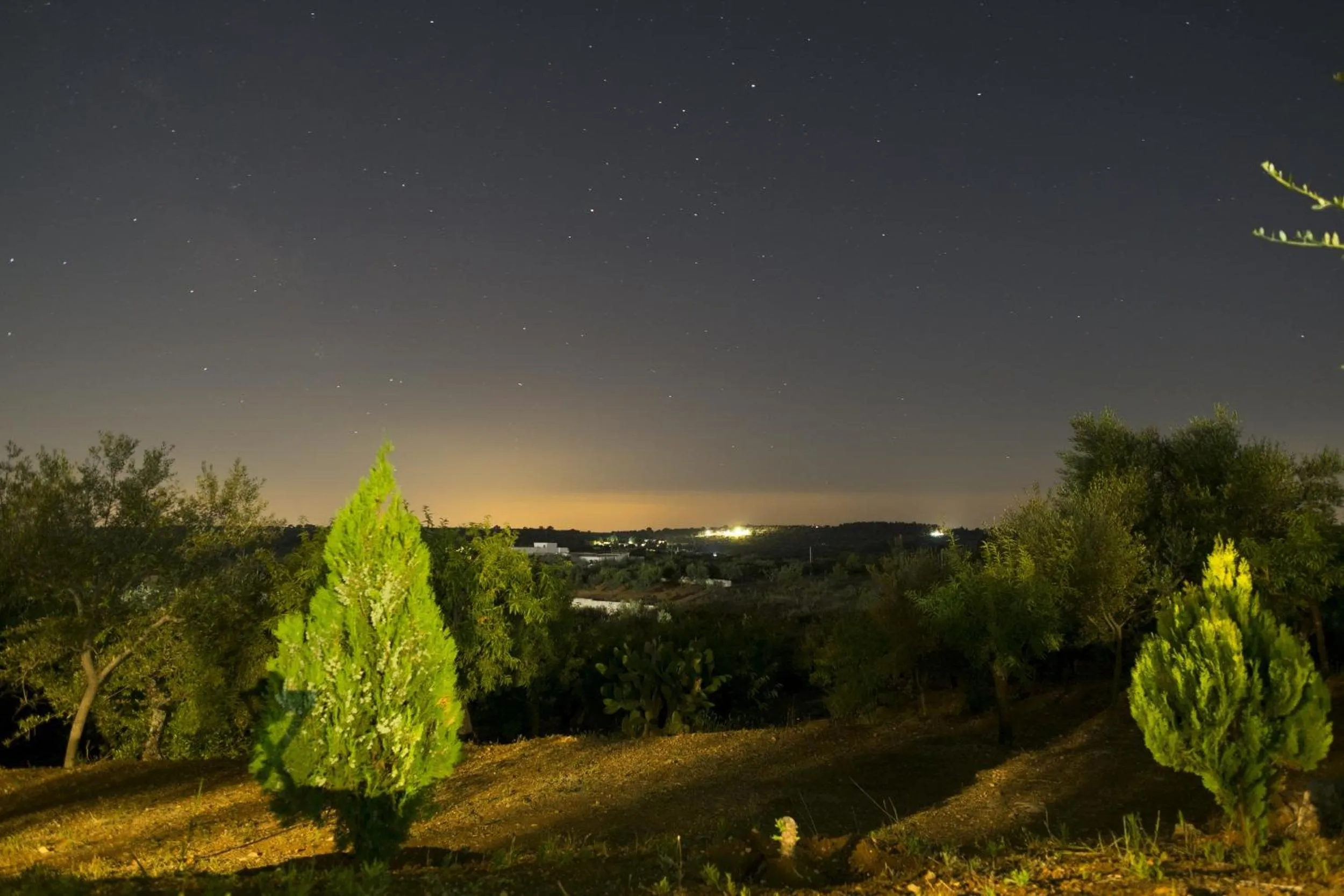 Garden in Villa Giulia B&B