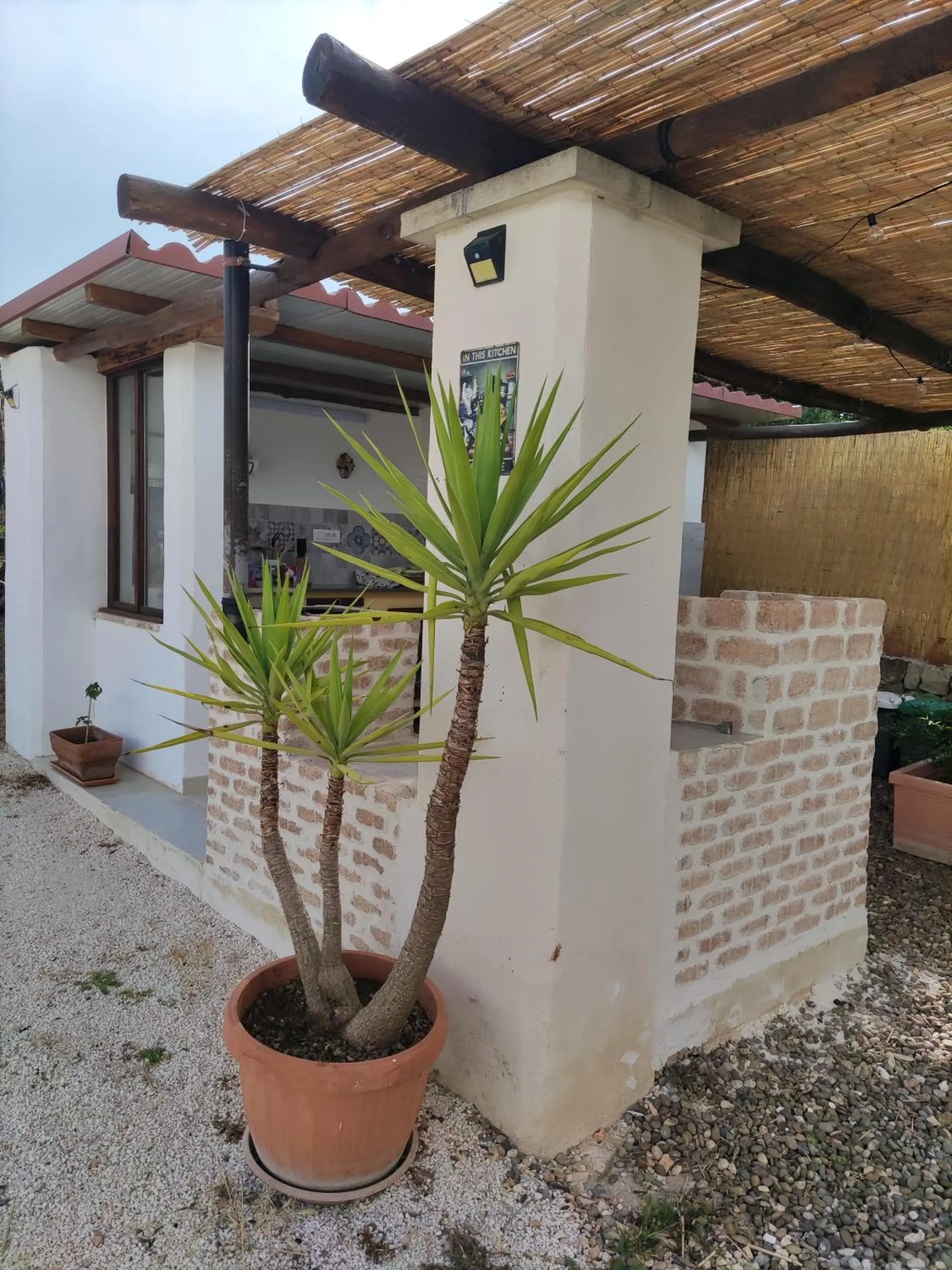 Communal kitchen in Villa Giulia B&B