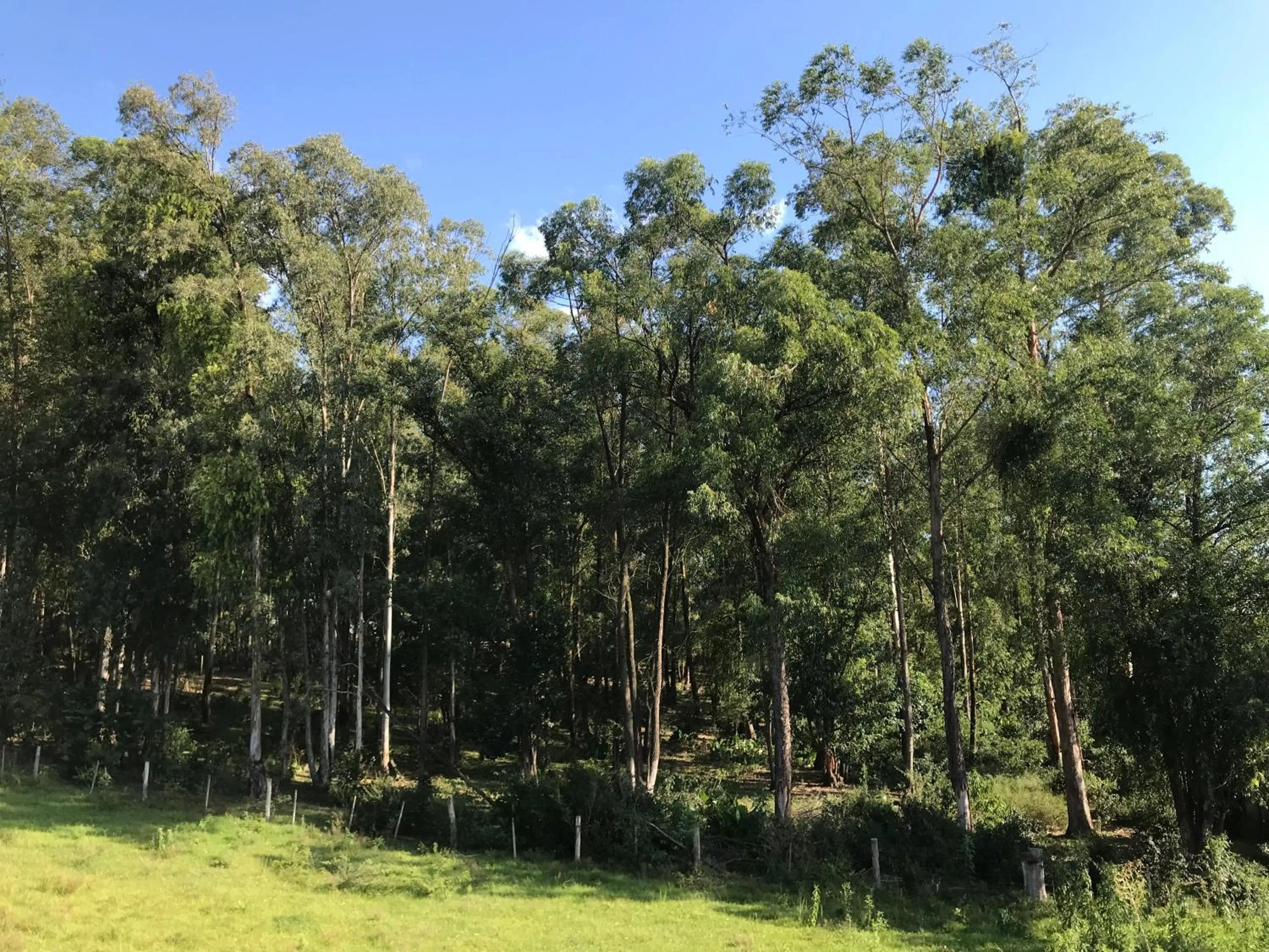 Natural landscape in Hotel Morada Del Este