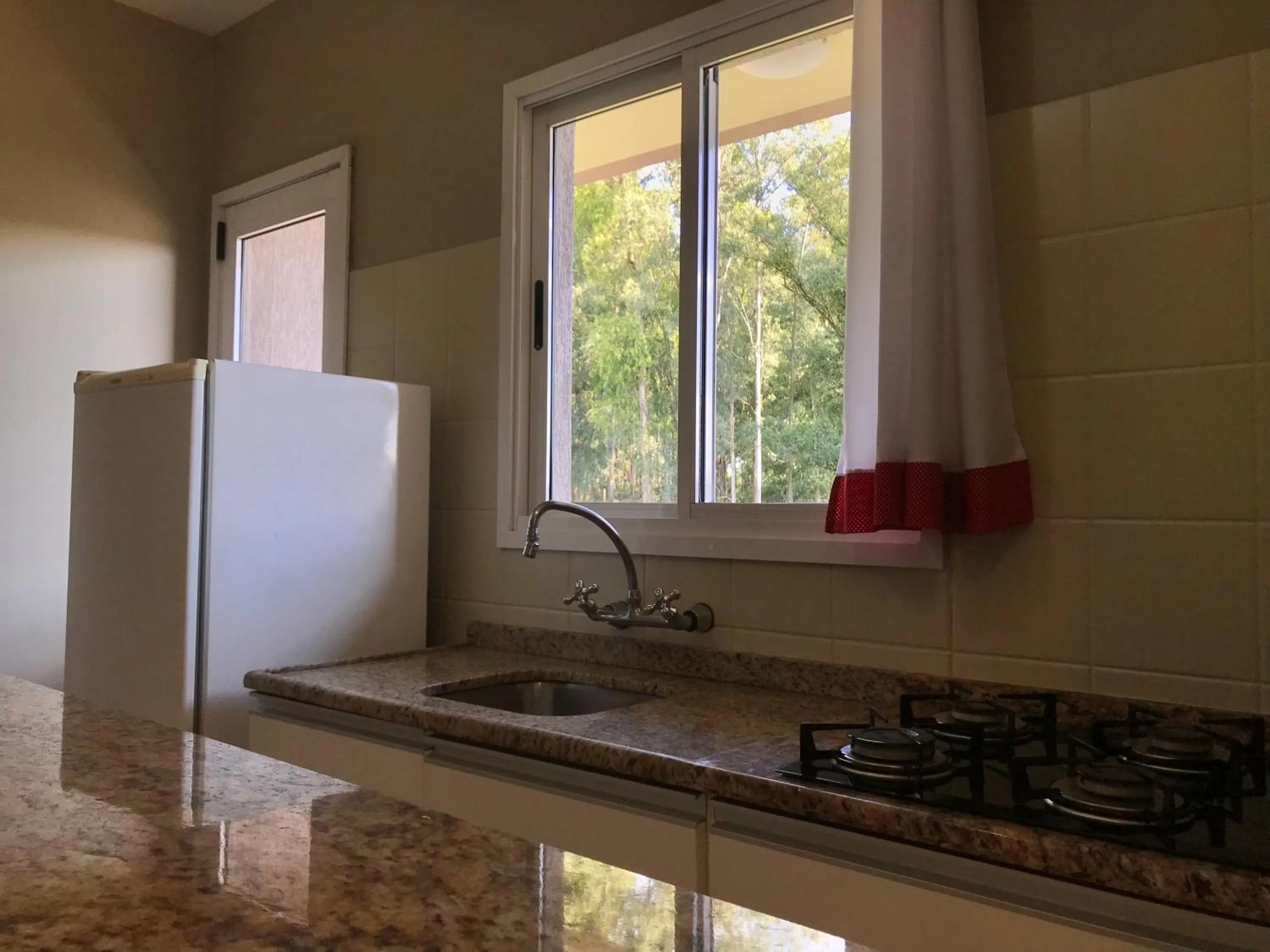 Kitchen or kitchenette in Hotel Morada Del Este