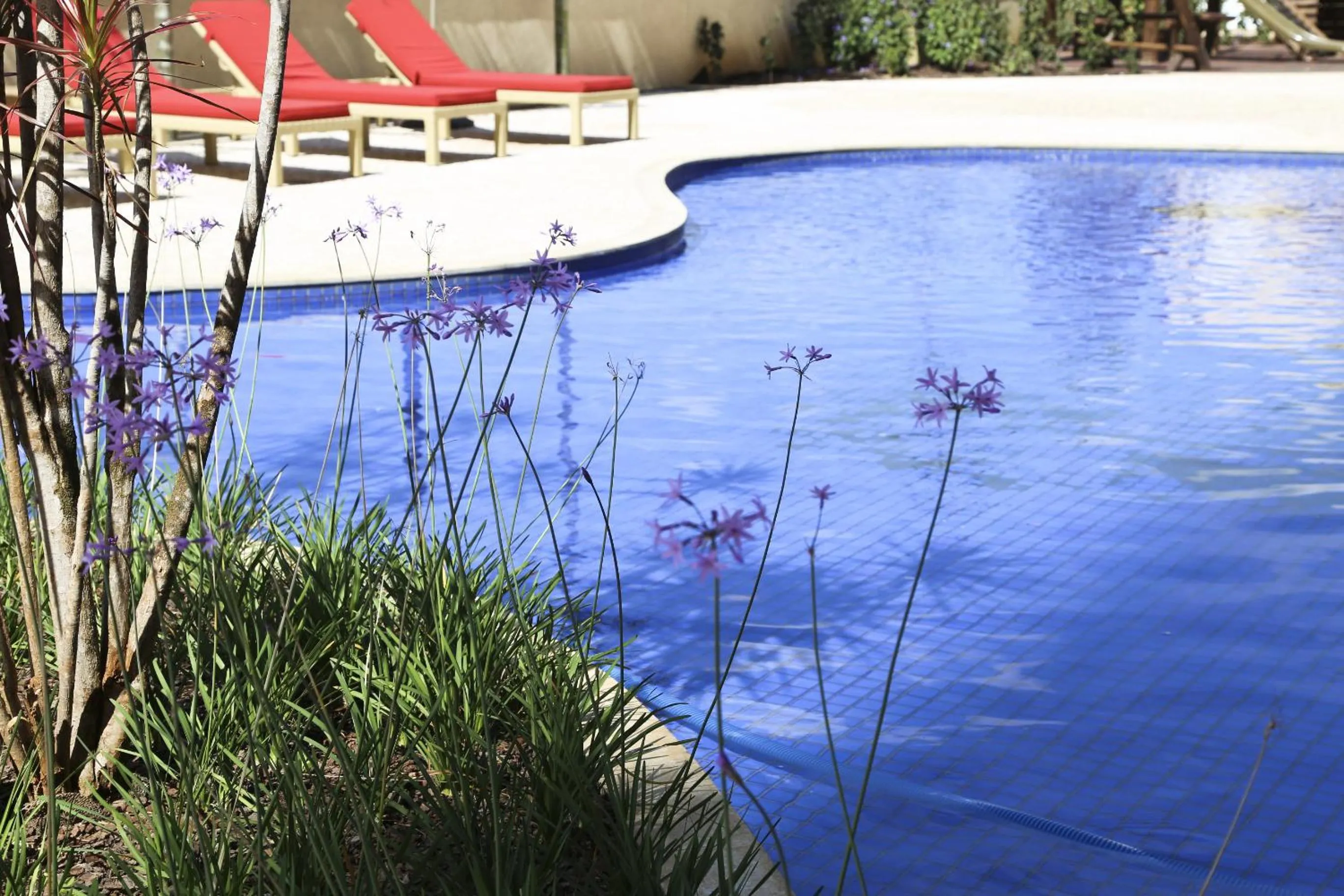 Swimming pool in Vitória Hotel Convention Paulínia
