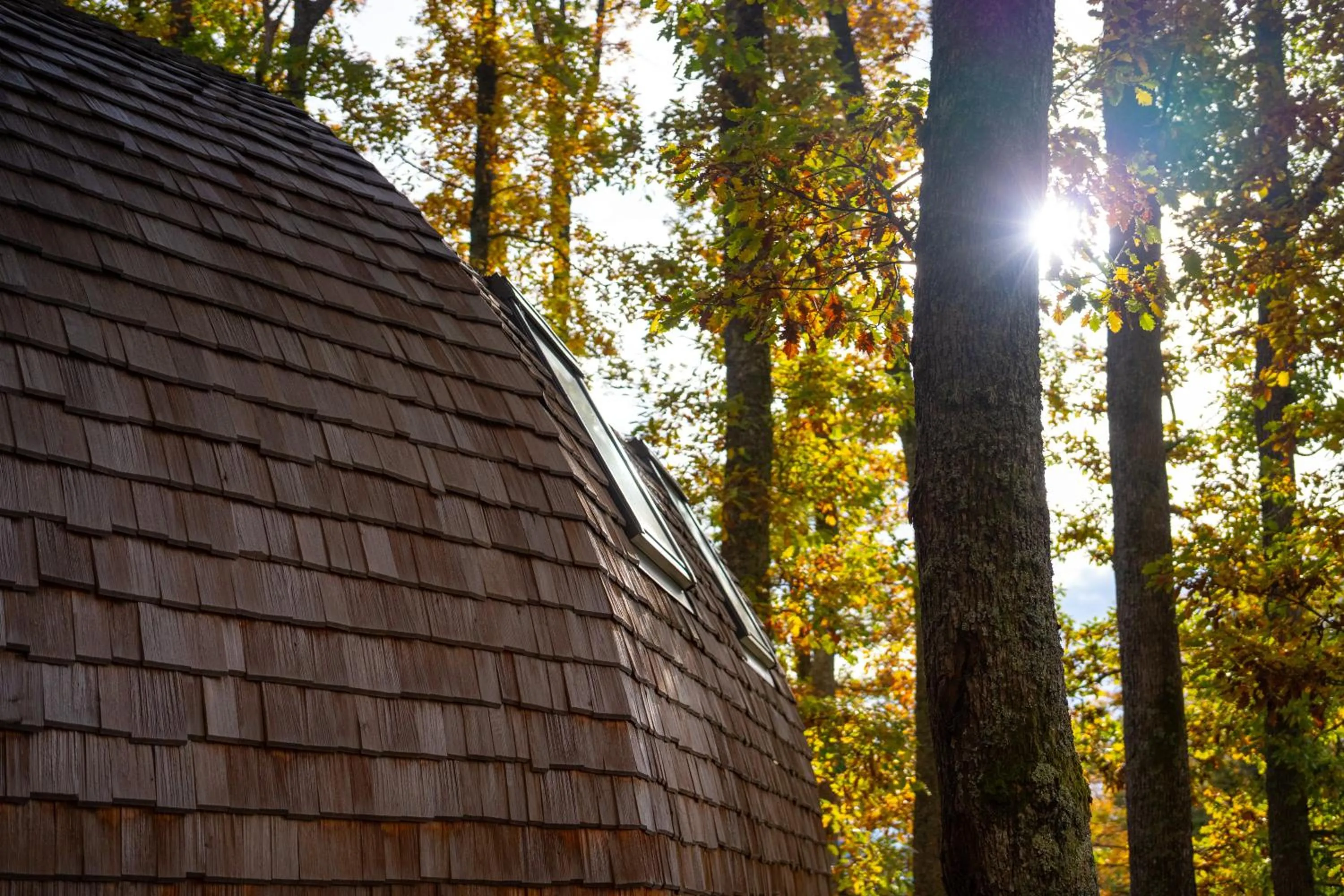 Domaine de Haslach, The Originals Collection, Résidence de Tourisme