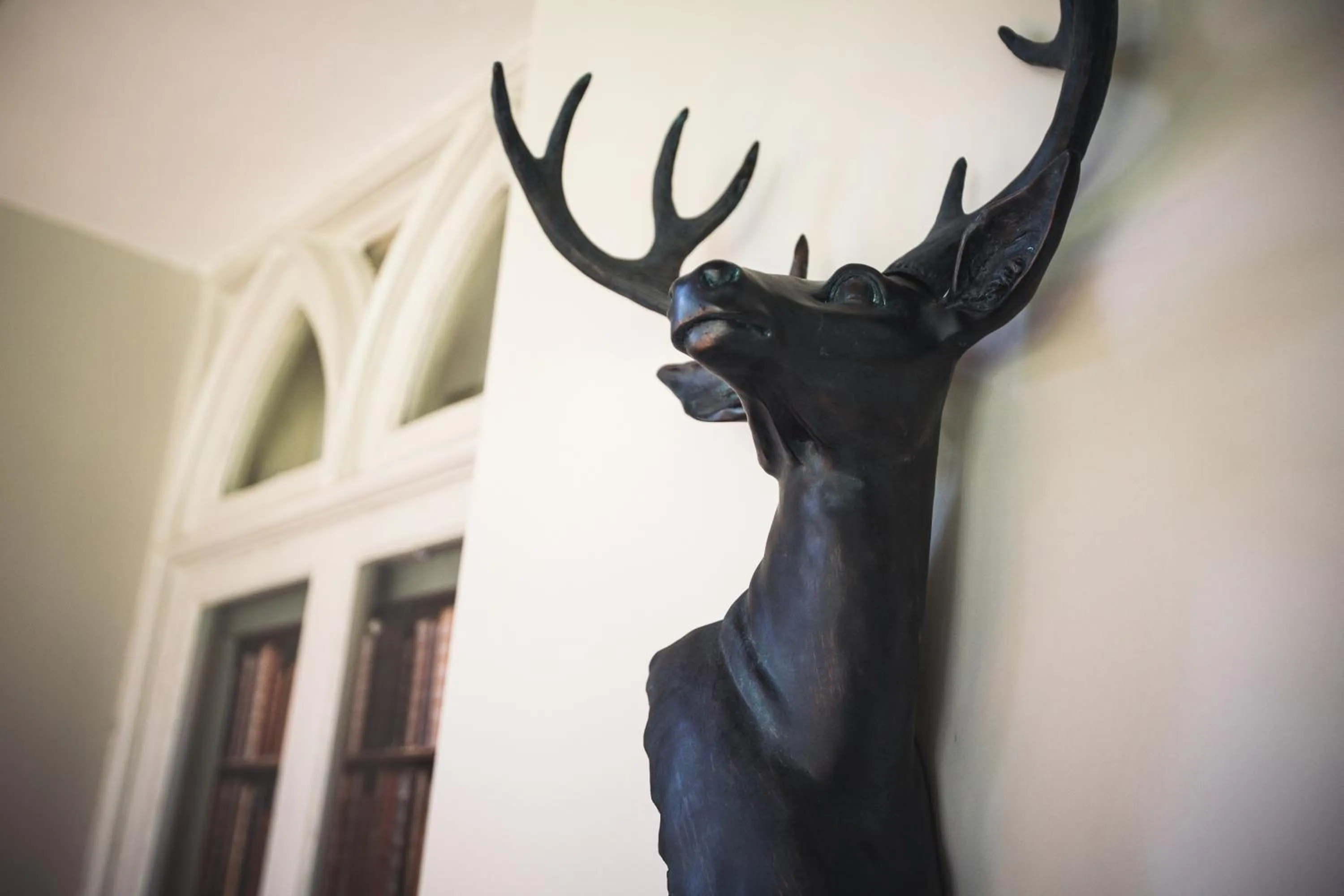 Balcony/Terrace in The Broadmead Boutique B&B