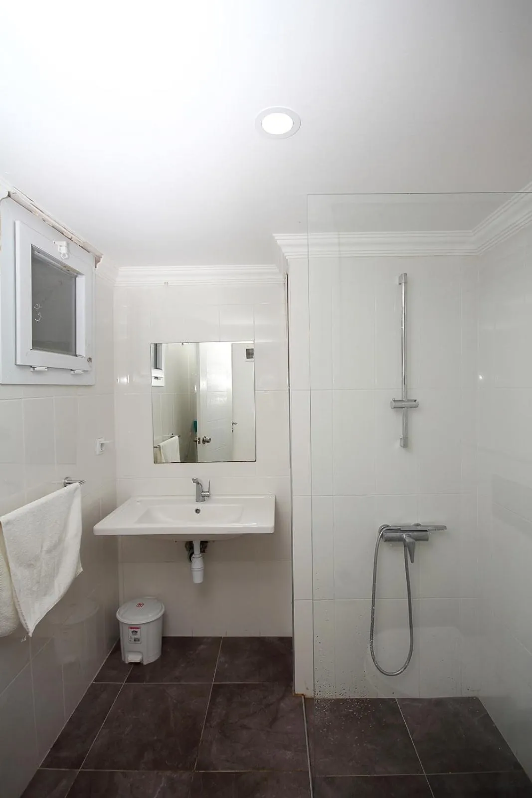 Shower in Vega Aparts