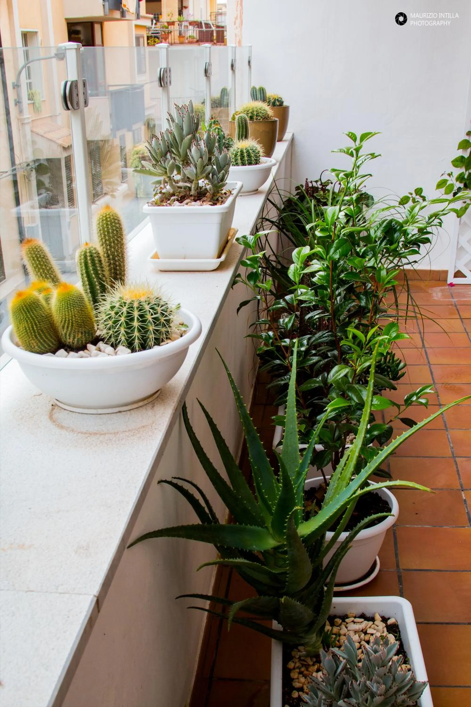 Decorative detail in TAM Vacanze B&B