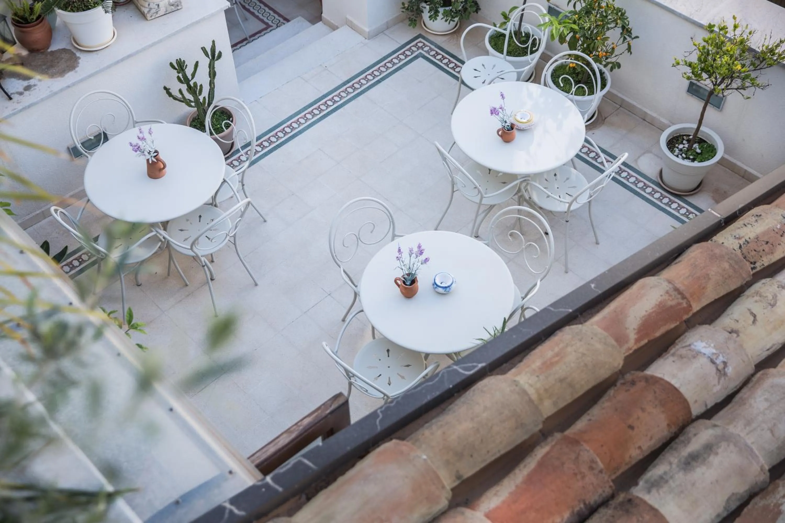 TAM Vacanze B&B