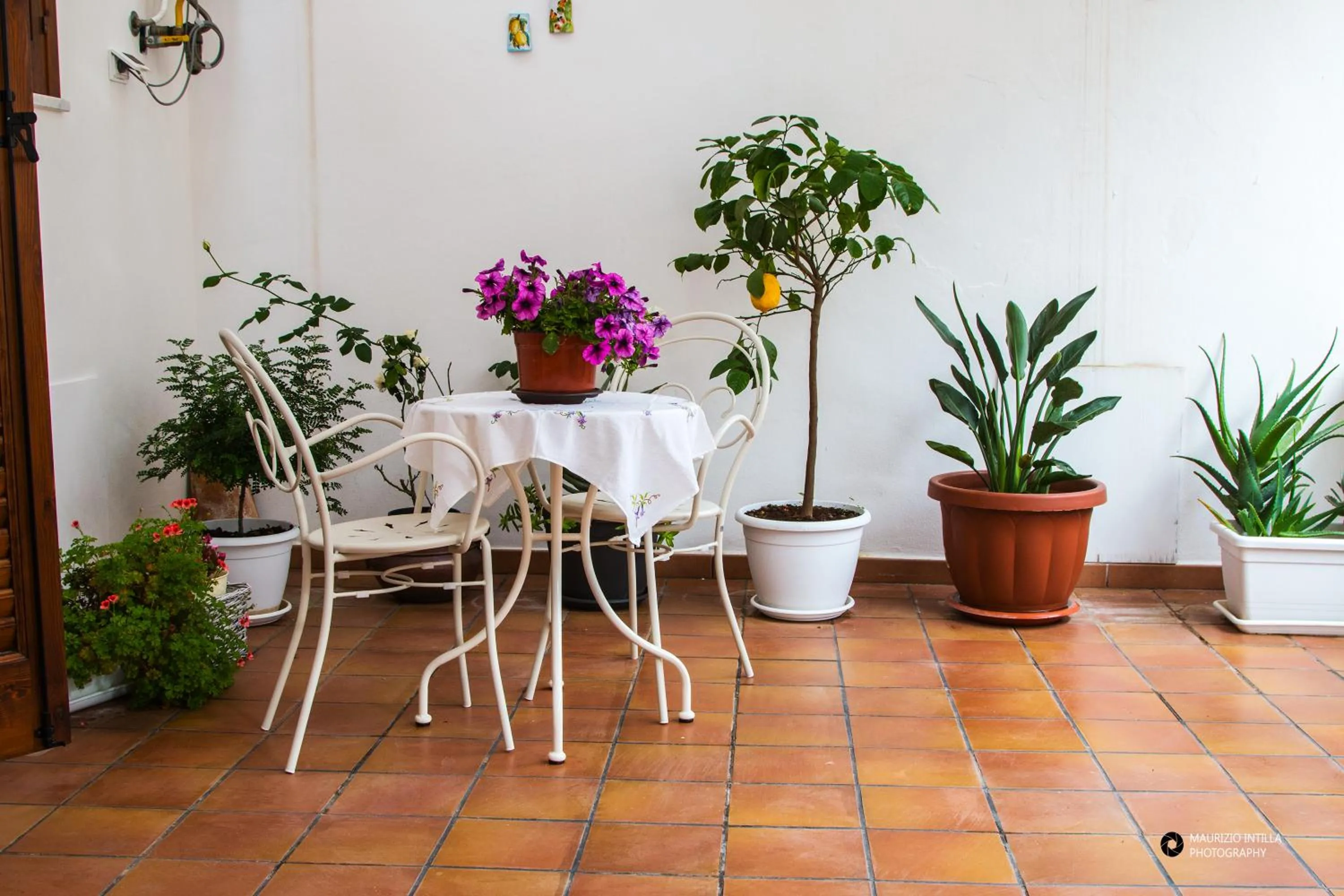 Patio in TAM Vacanze B&B