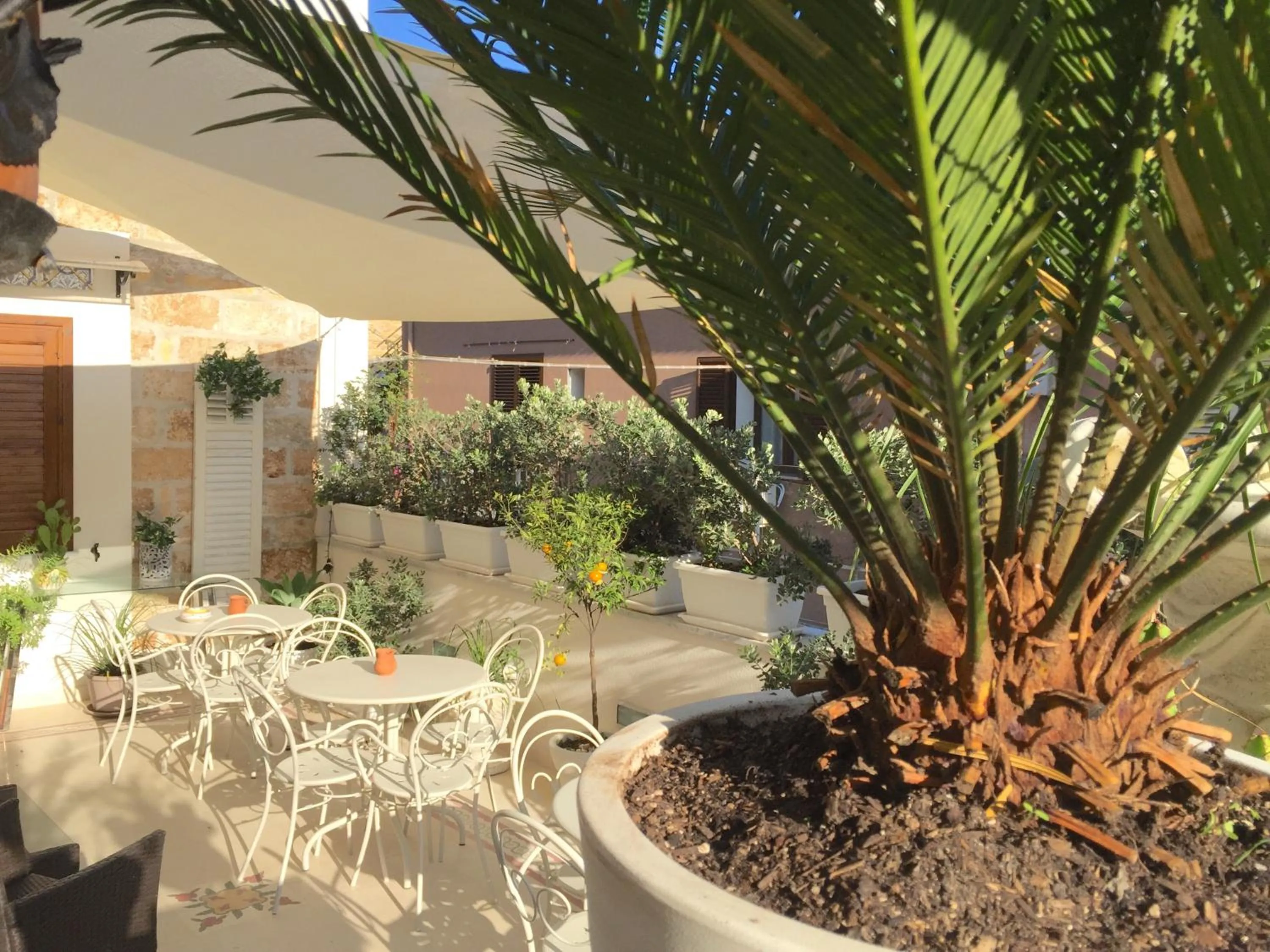 Balcony/Terrace in TAM Vacanze B&B