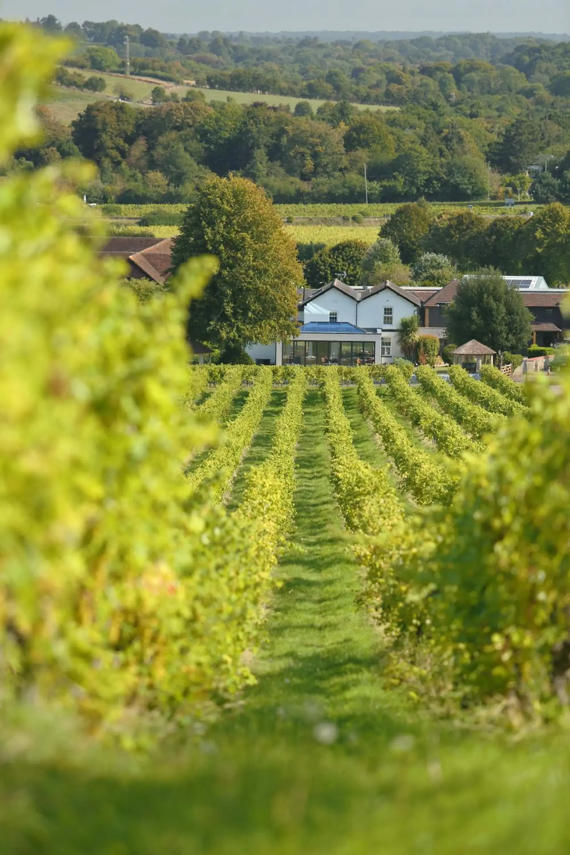 Property building in Denbies Vineyard Hotel Property building in Denbies Vineyard Hotel