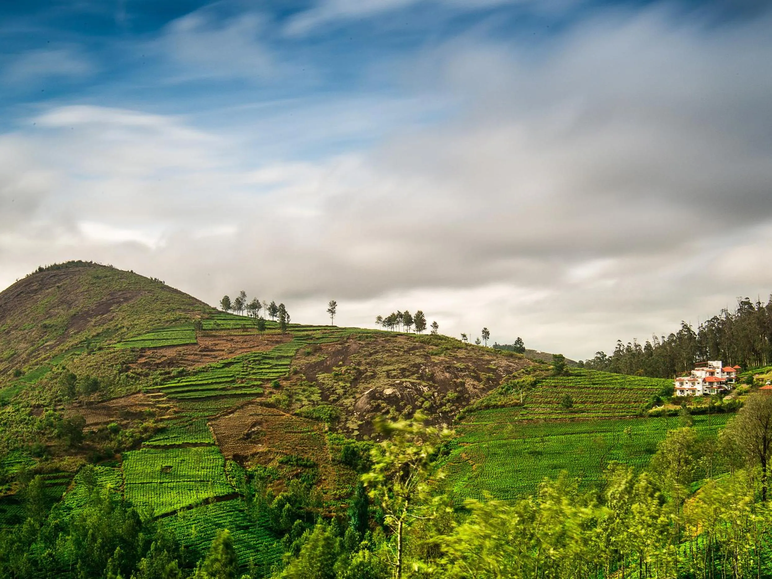 Natural landscape in Green Nest Resort Ooty