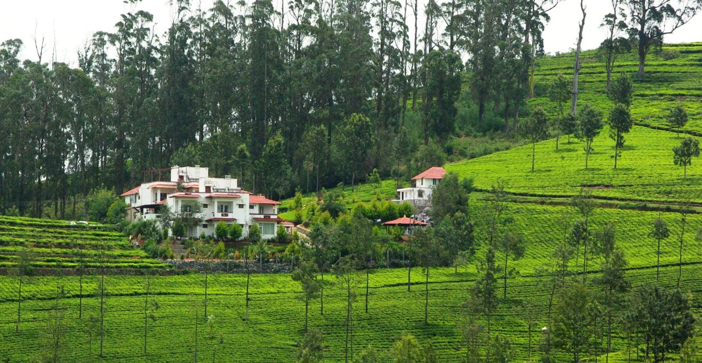 Bird's eye view in Green Nest Resort Ooty
