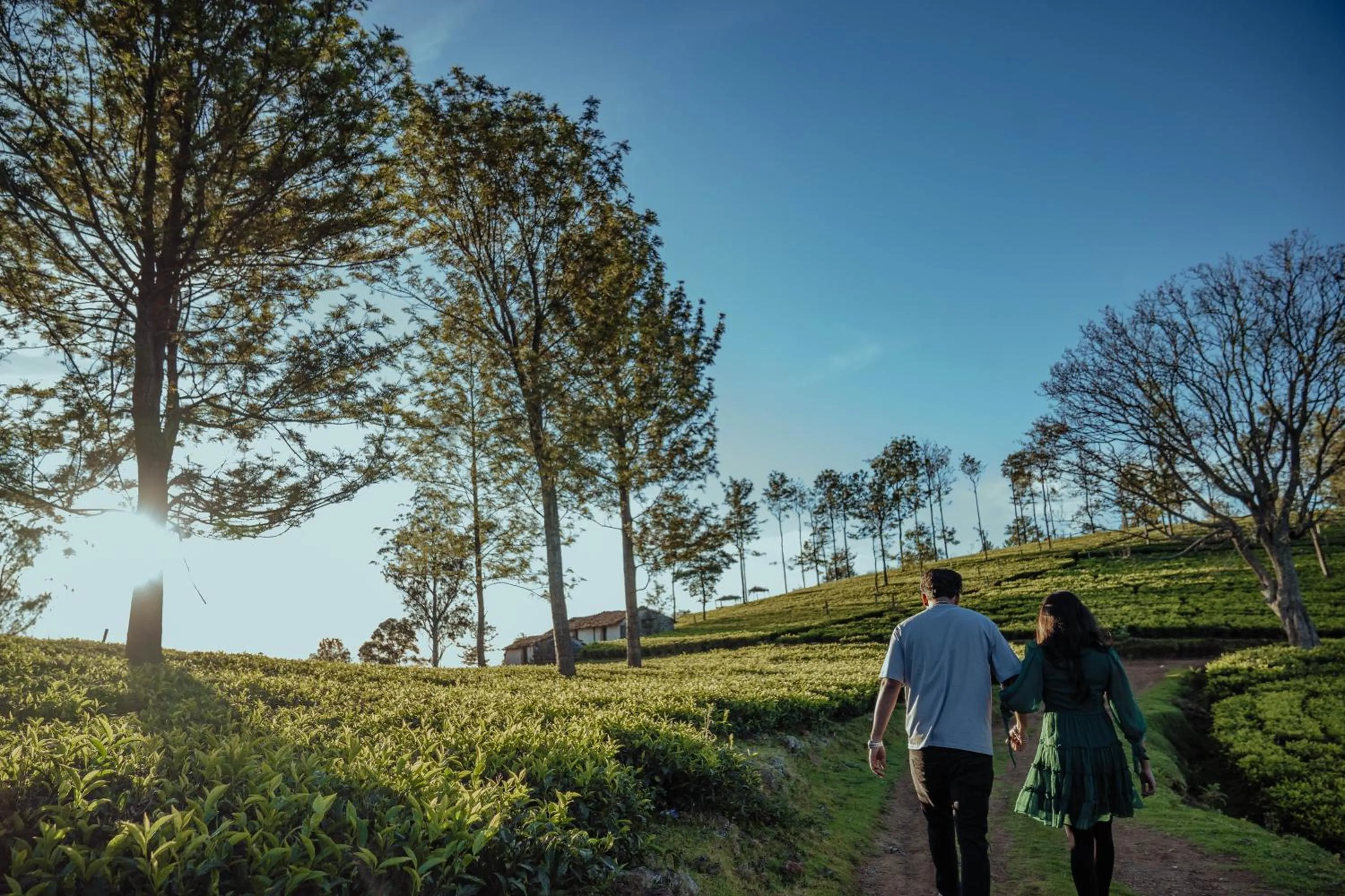 Activities in Green Nest Resort Ooty
