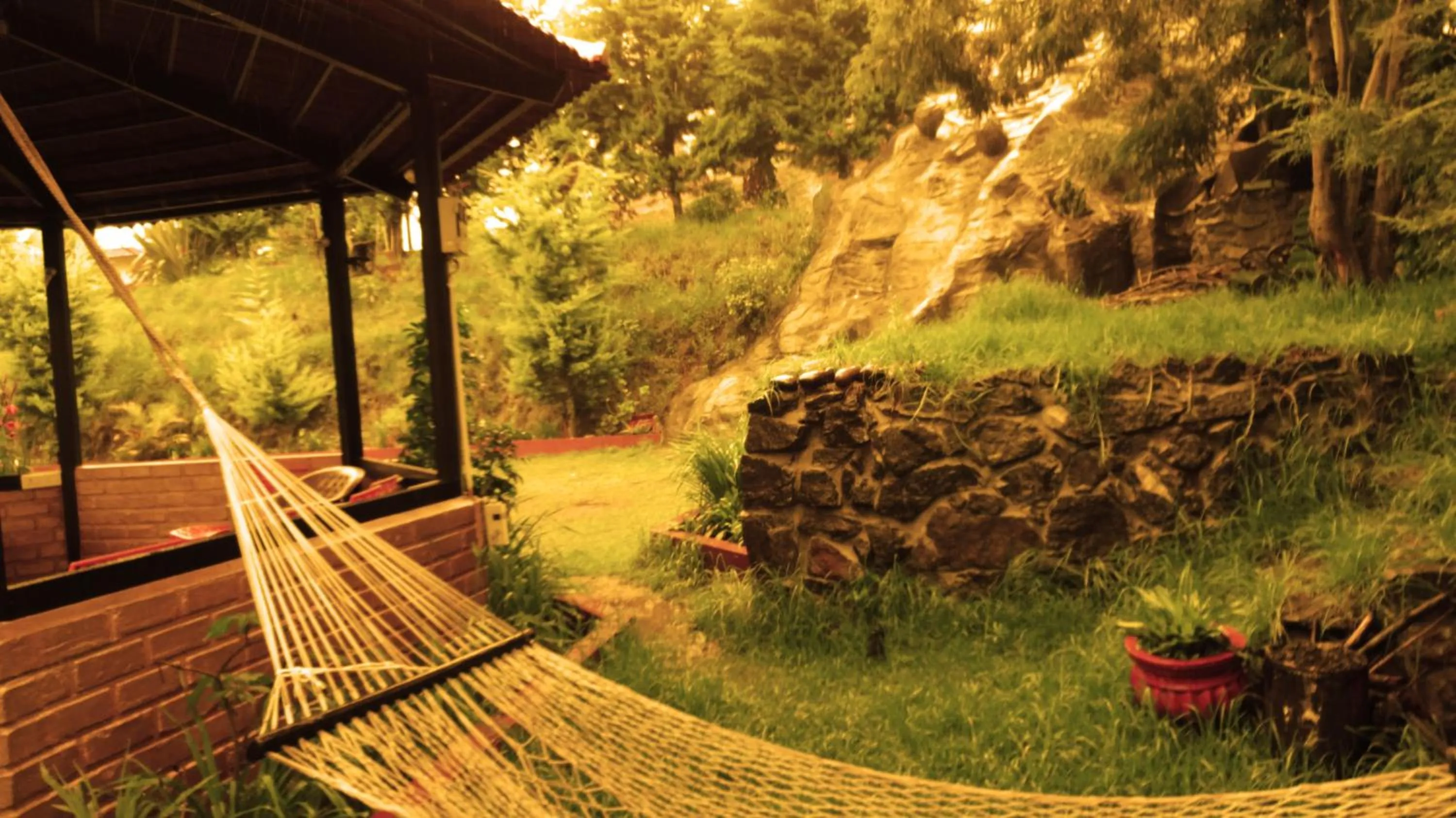 Restaurant/places to eat in Green Nest Resort Ooty