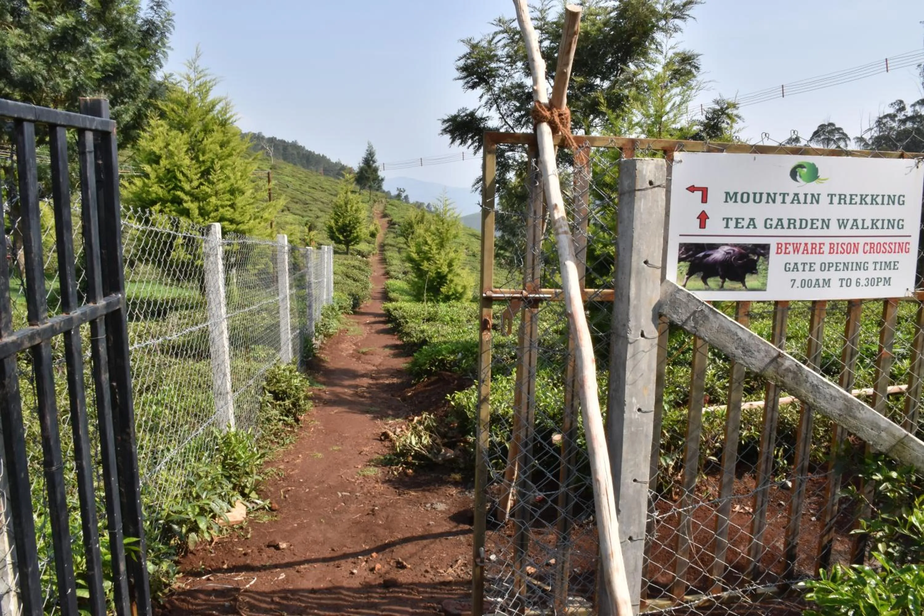 Garden in Green Nest Resort Ooty