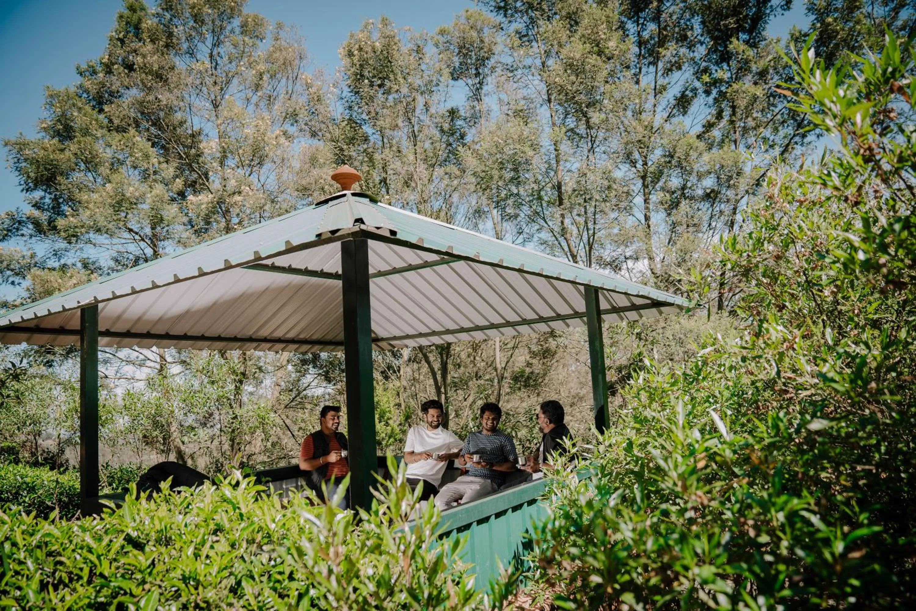 Area and facilities in Green Nest Resort Ooty