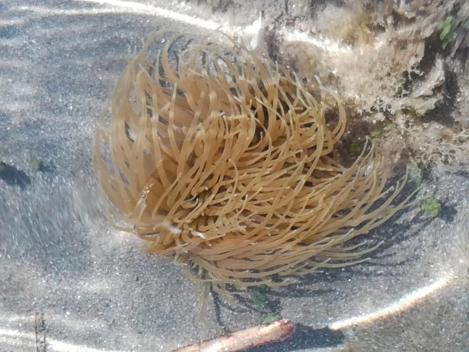 Hotel Donna Carmela Sede Unica a Sciacca