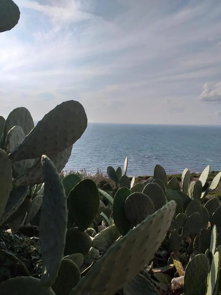 Hotel Donna Carmela Sede Unica a Sciacca